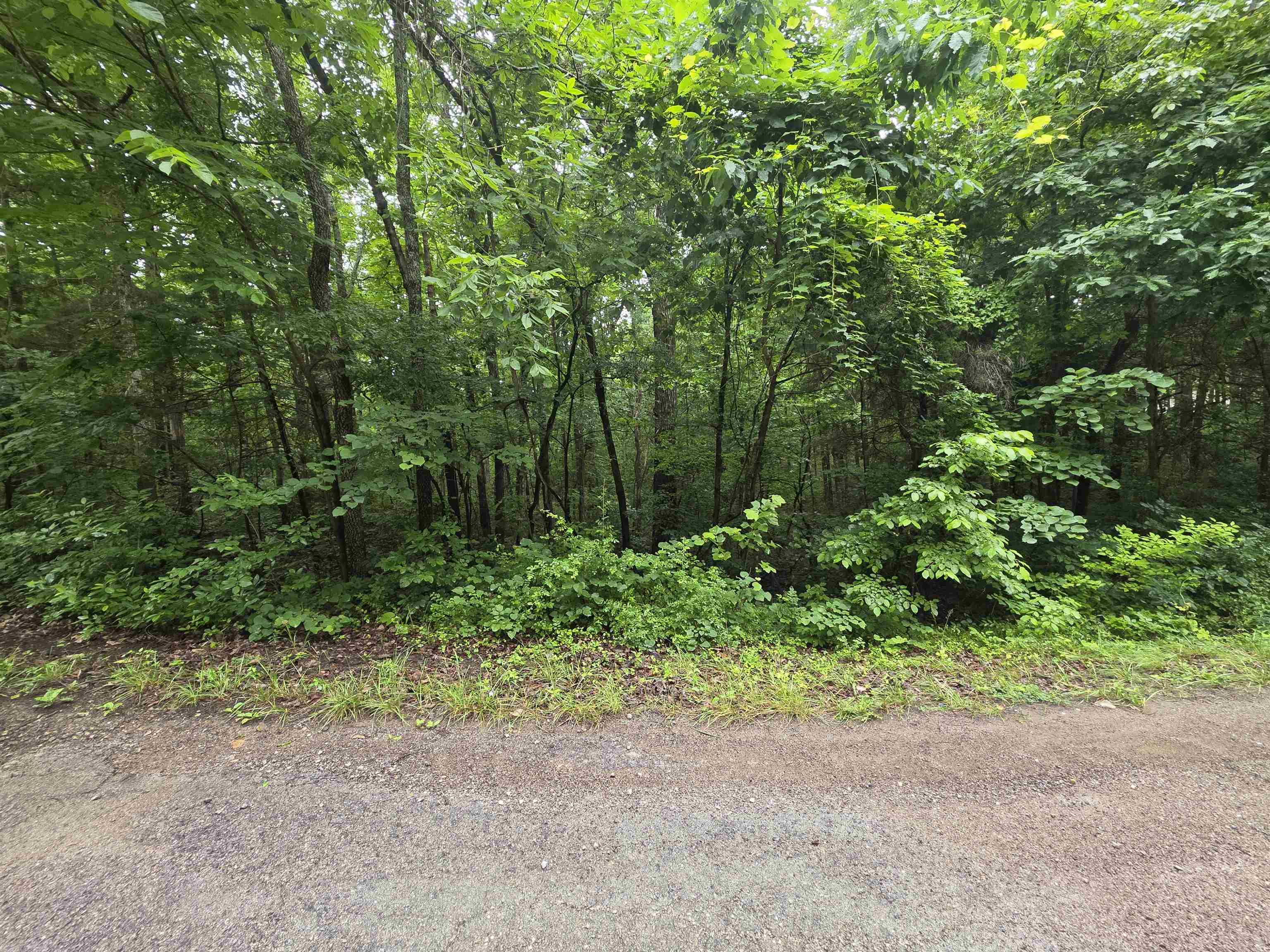 Photo 6 - Vacant Land for sale – L-47, B-2  Saskatchewan   Cherokee Village, AR