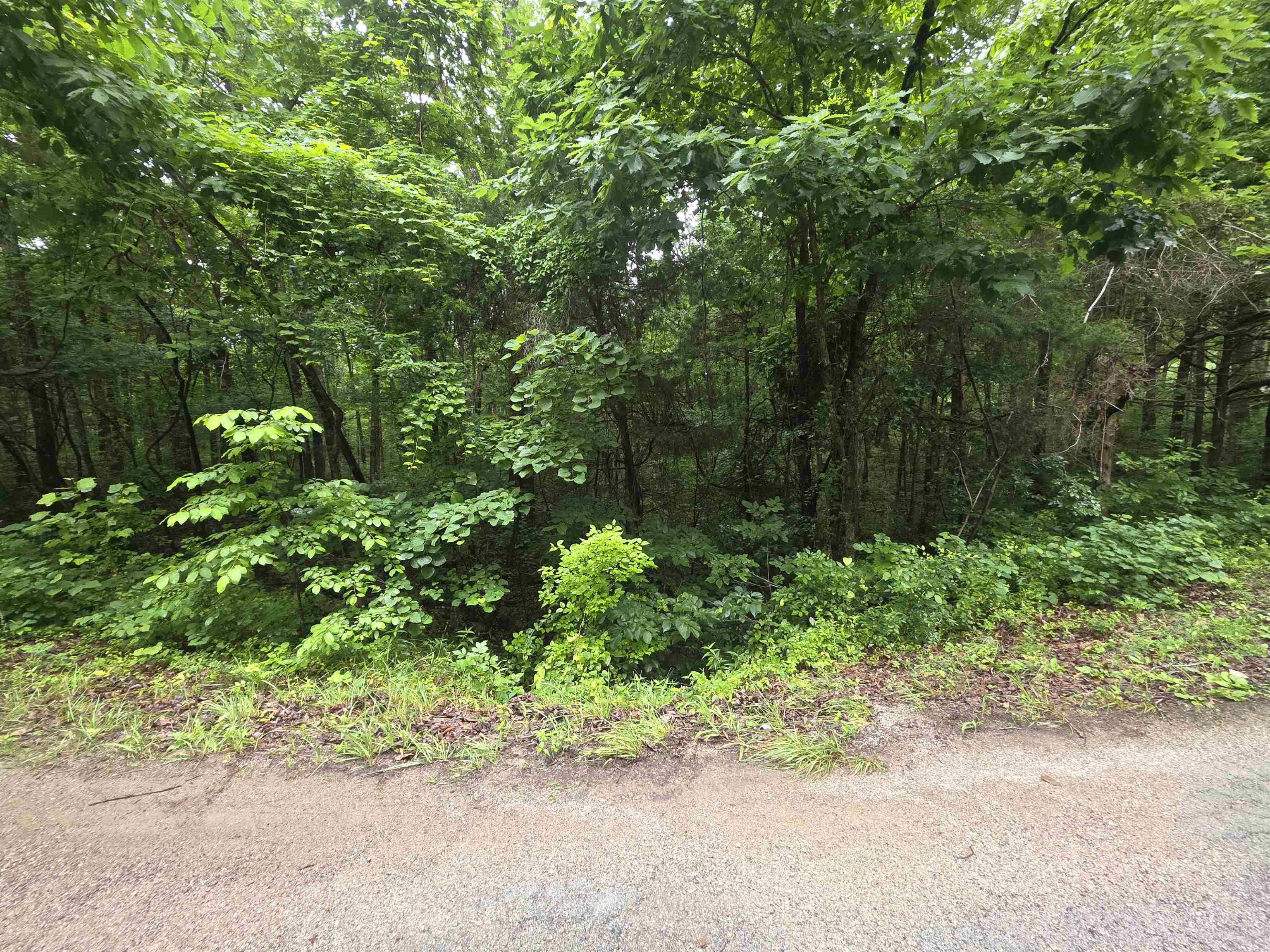 Photo 7 - Vacant Land for sale – L-47, B-2  Saskatchewan   Cherokee Village, AR