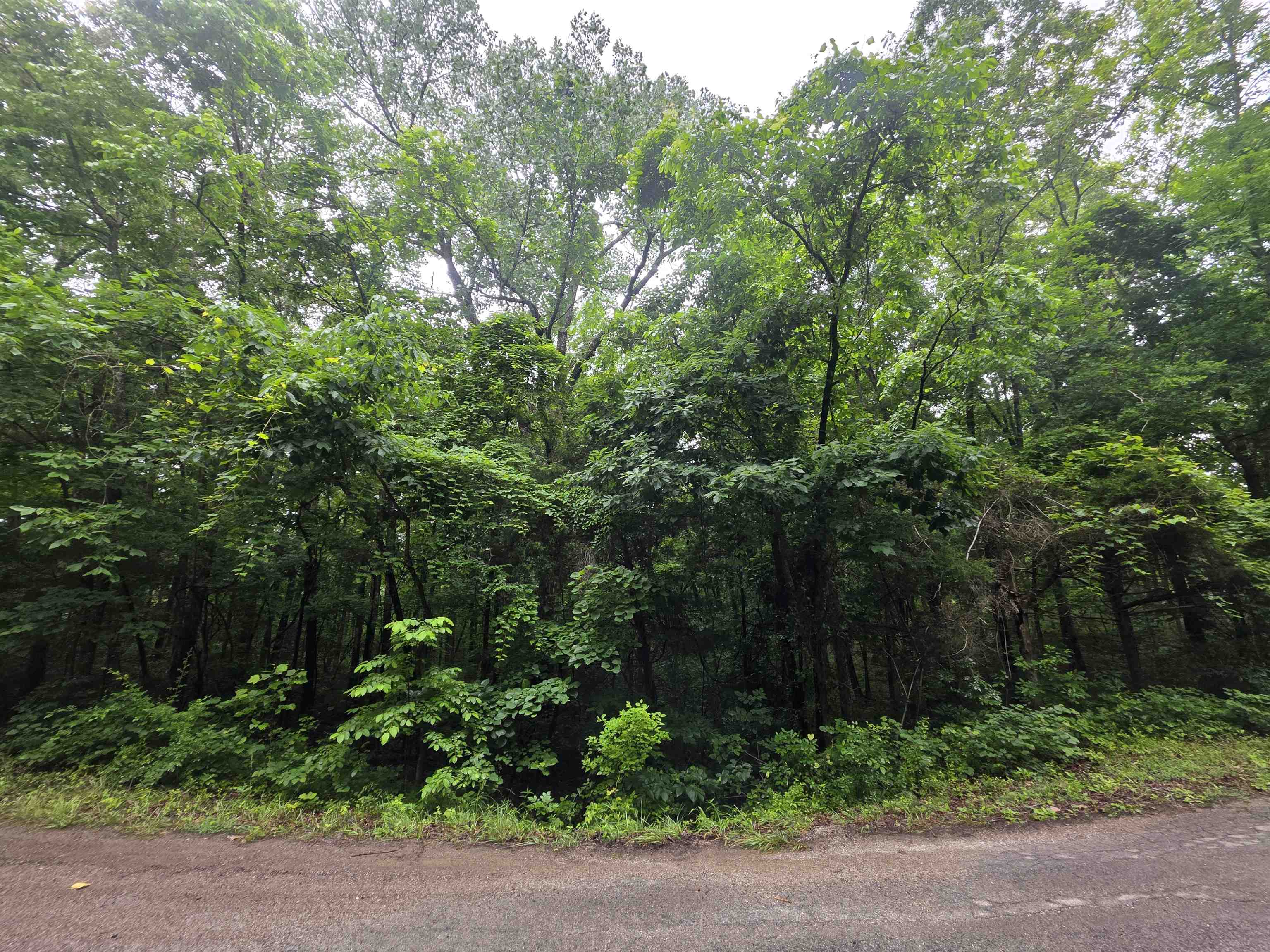 Photo 8 - Vacant Land for sale – L-47, B-2  Saskatchewan   Cherokee Village, AR