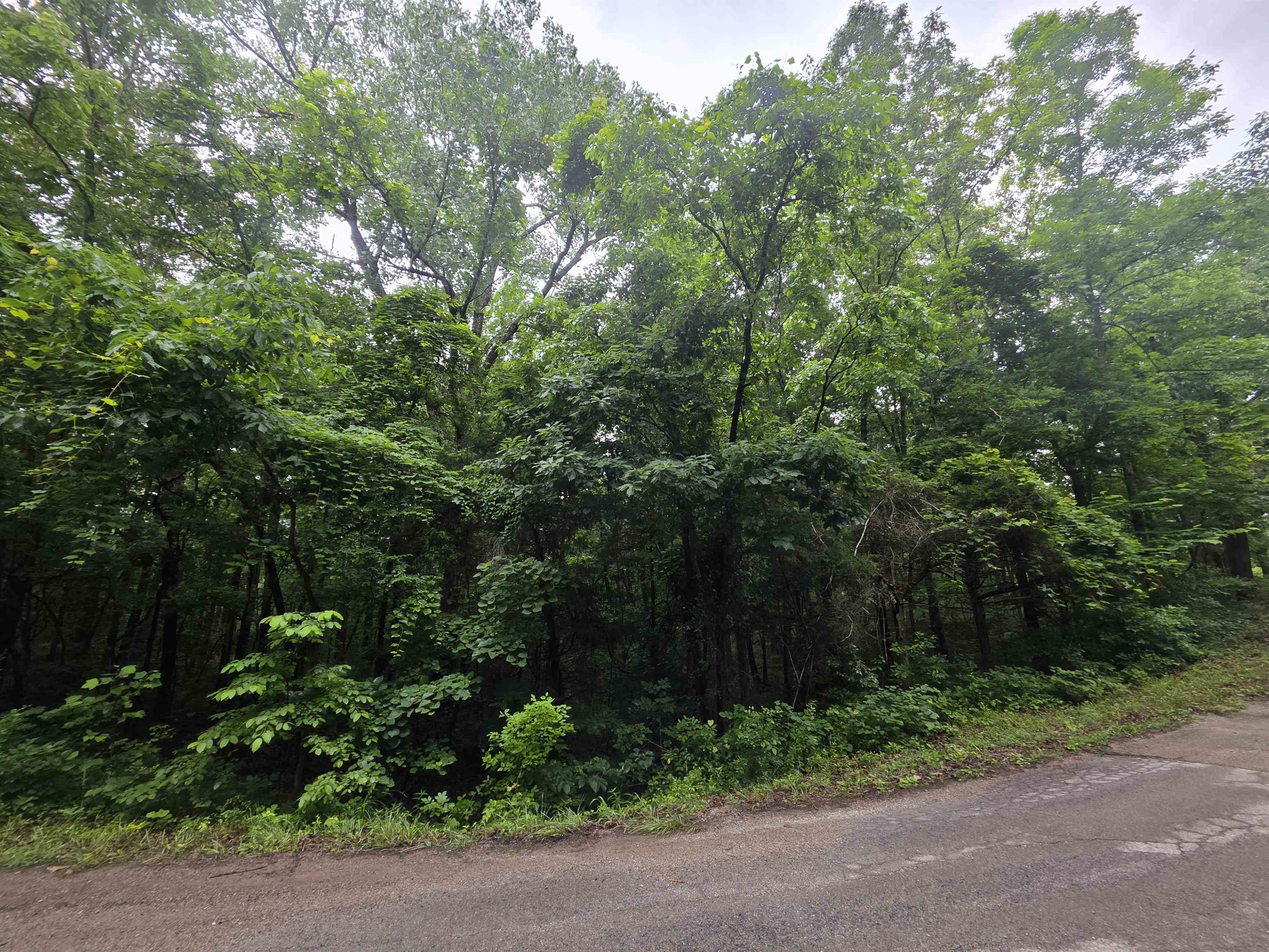 Photo 9 - Vacant Land for sale – L-47, B-2  Saskatchewan   Cherokee Village, AR