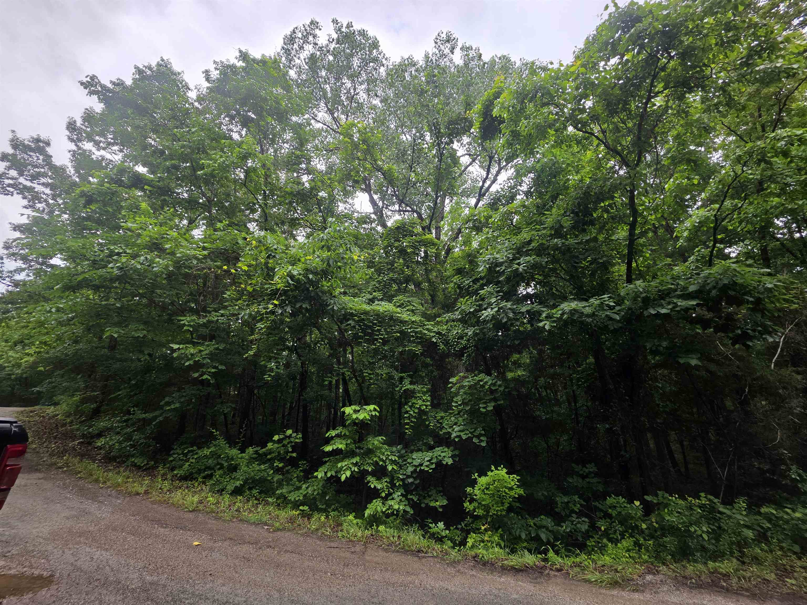 Photo 10 - Vacant Land for sale – L-47, B-2  Saskatchewan   Cherokee Village, AR