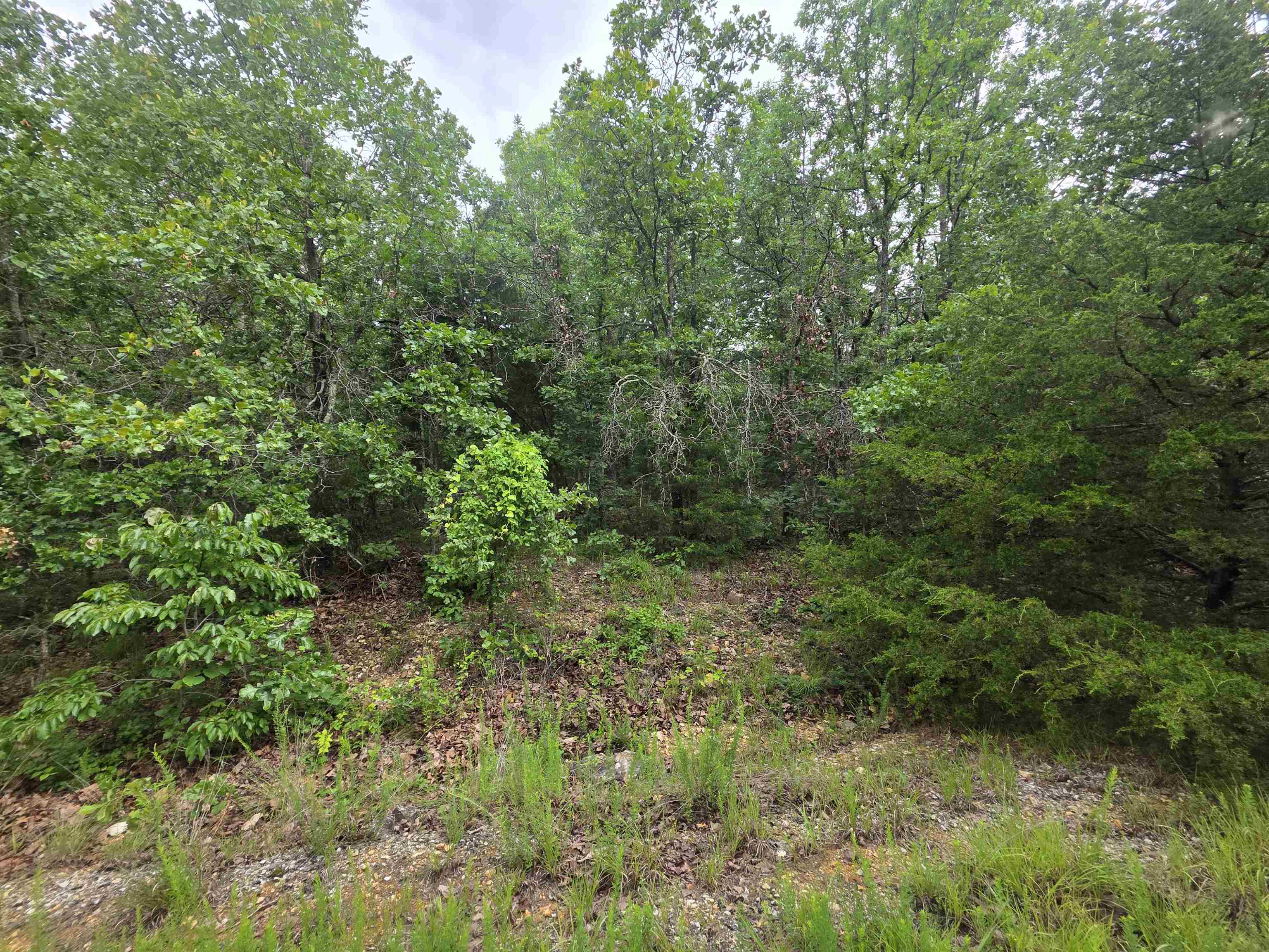 Vacant Land for sale – L-10, B-4  Arizonac   Cherokee Village, AR