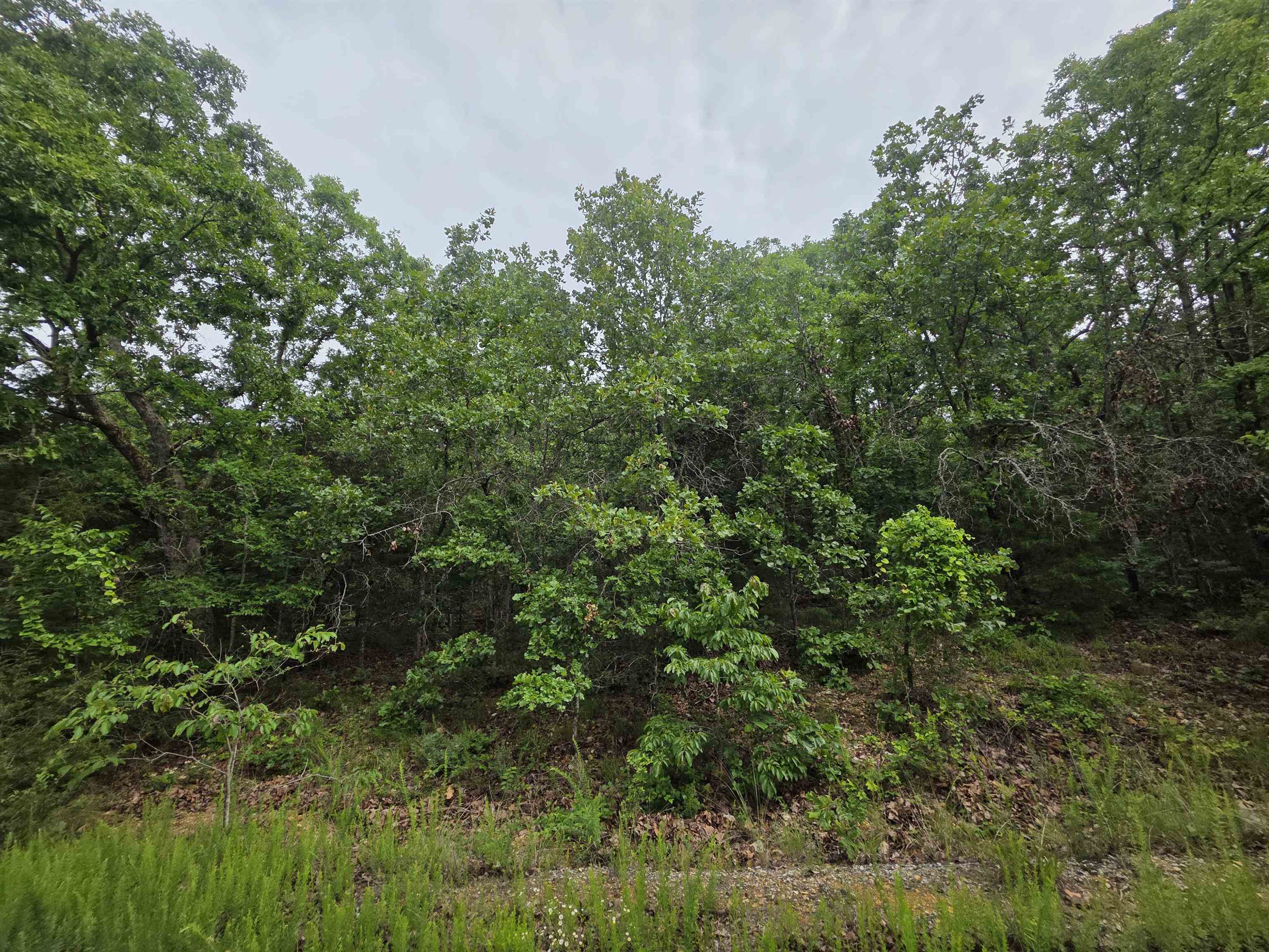 Photo 2 - Vacant Land for sale – L-10, B-4  Arizonac   Cherokee Village, AR