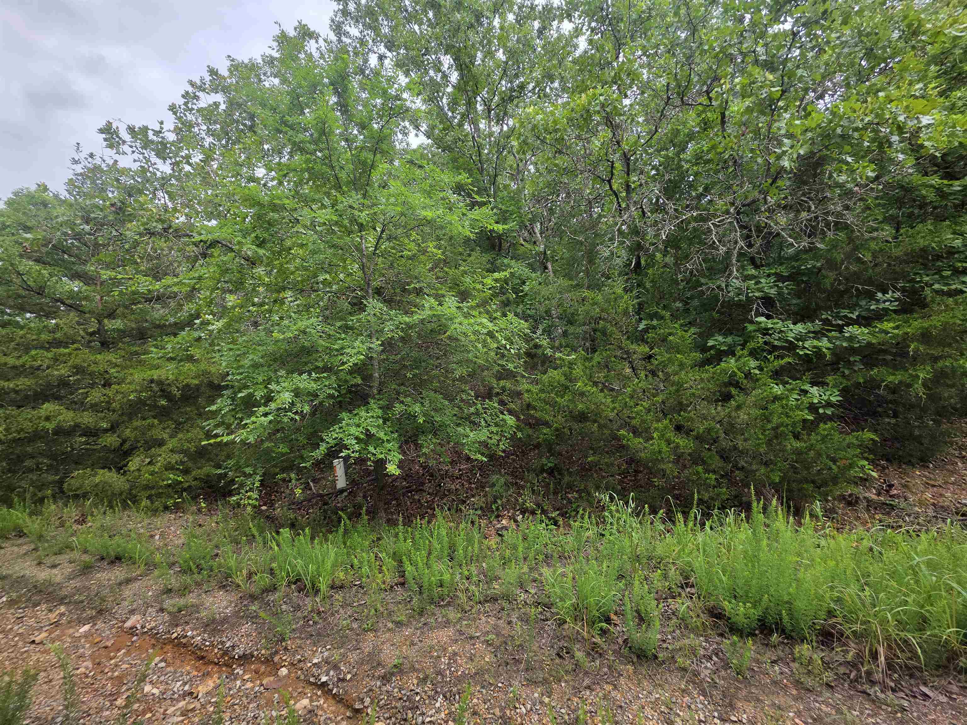 Photo 11 - Vacant Land for sale – L-10, B-4  Arizonac   Cherokee Village, AR