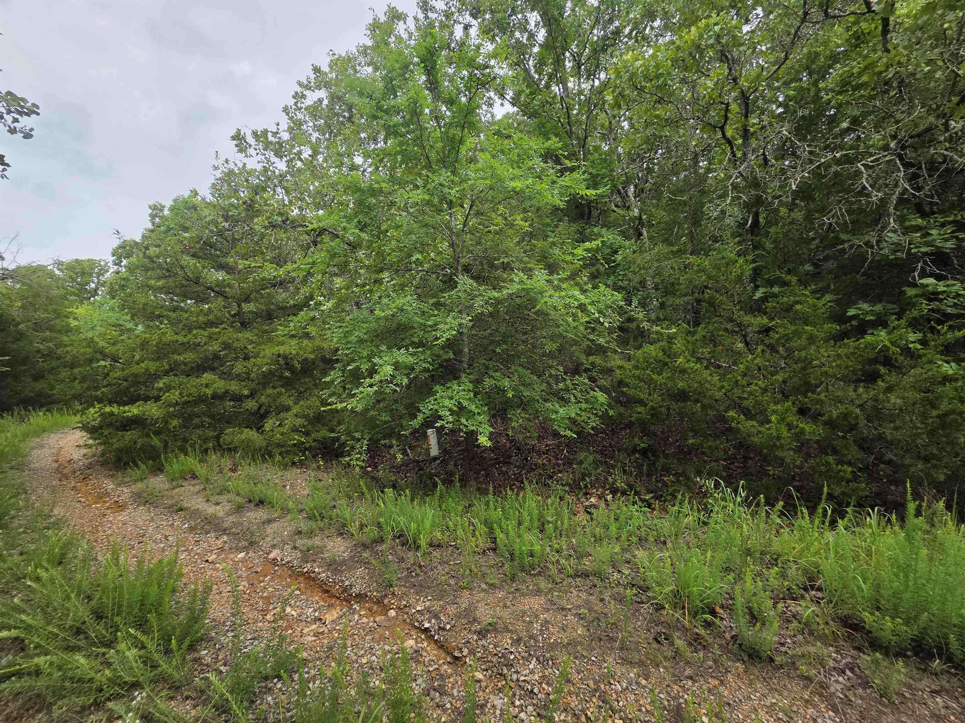 Photo 12 - Vacant Land for sale – L-10, B-4  Arizonac   Cherokee Village, AR