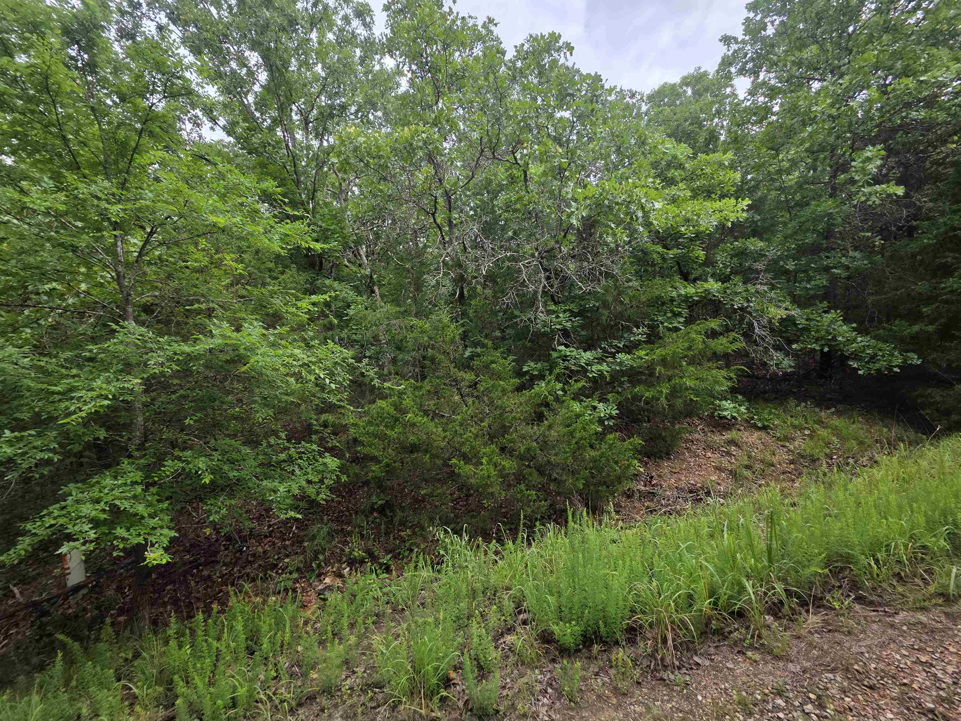 Photo 13 - Vacant Land for sale – L-10, B-4  Arizonac   Cherokee Village, AR