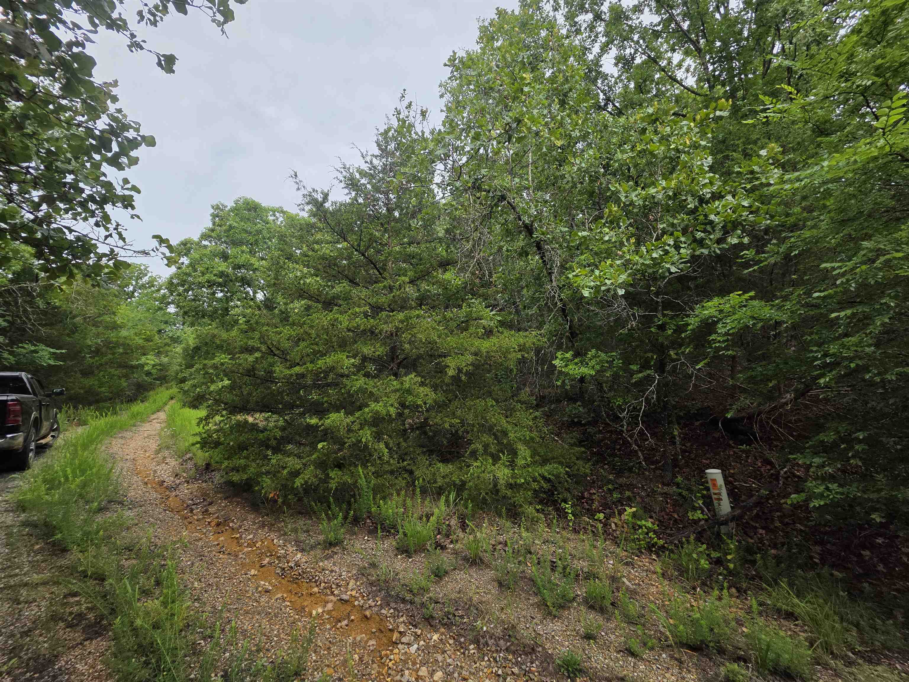 Photo 14 - Vacant Land for sale – L-10, B-4  Arizonac   Cherokee Village, AR