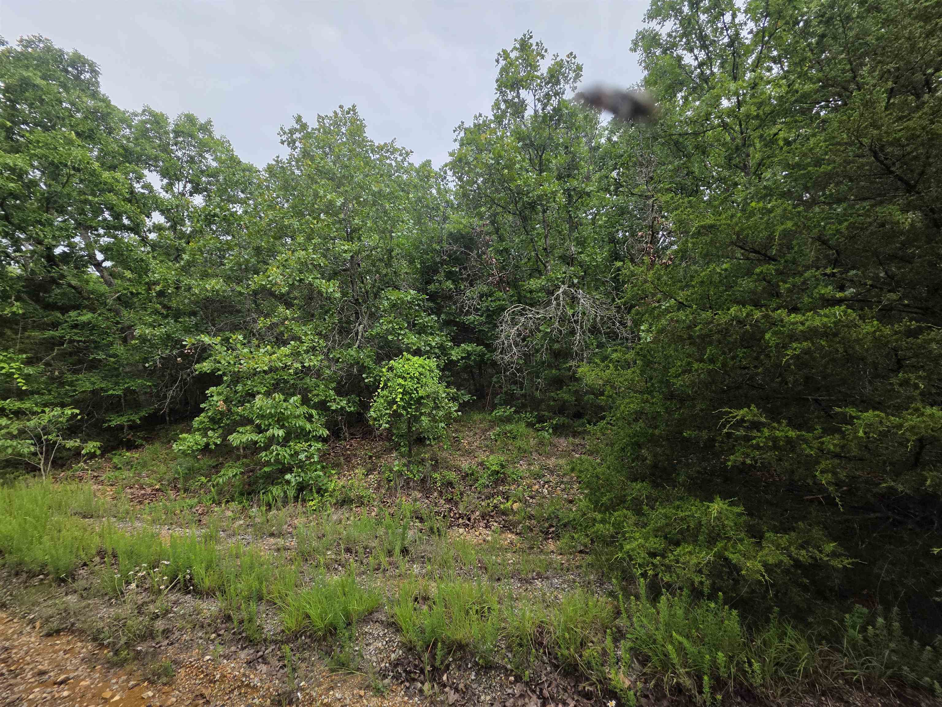 Photo 15 - Vacant Land for sale – L-10, B-4  Arizonac   Cherokee Village, AR