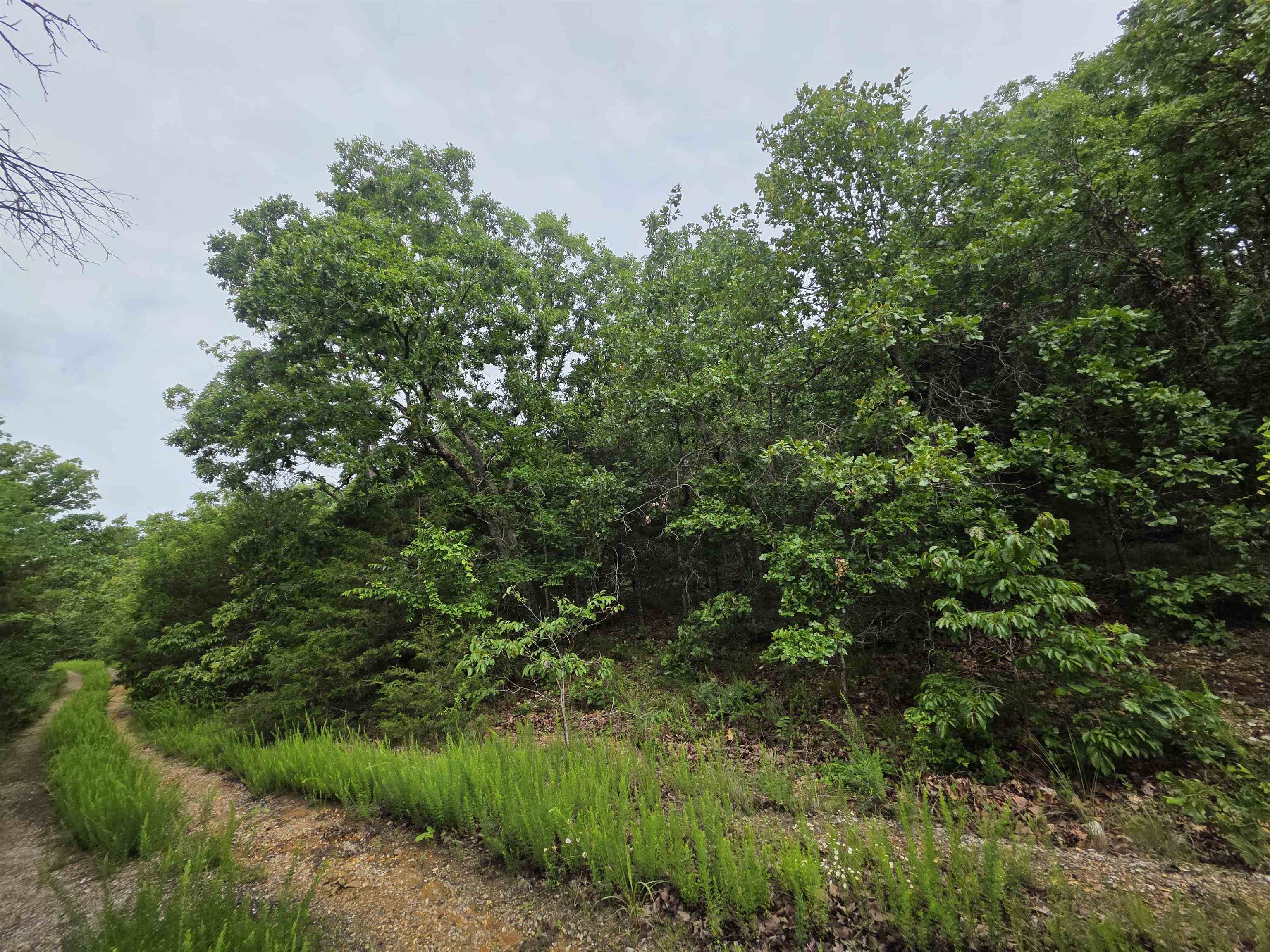 Photo 16 - Vacant Land for sale – L-10, B-4  Arizonac   Cherokee Village, AR