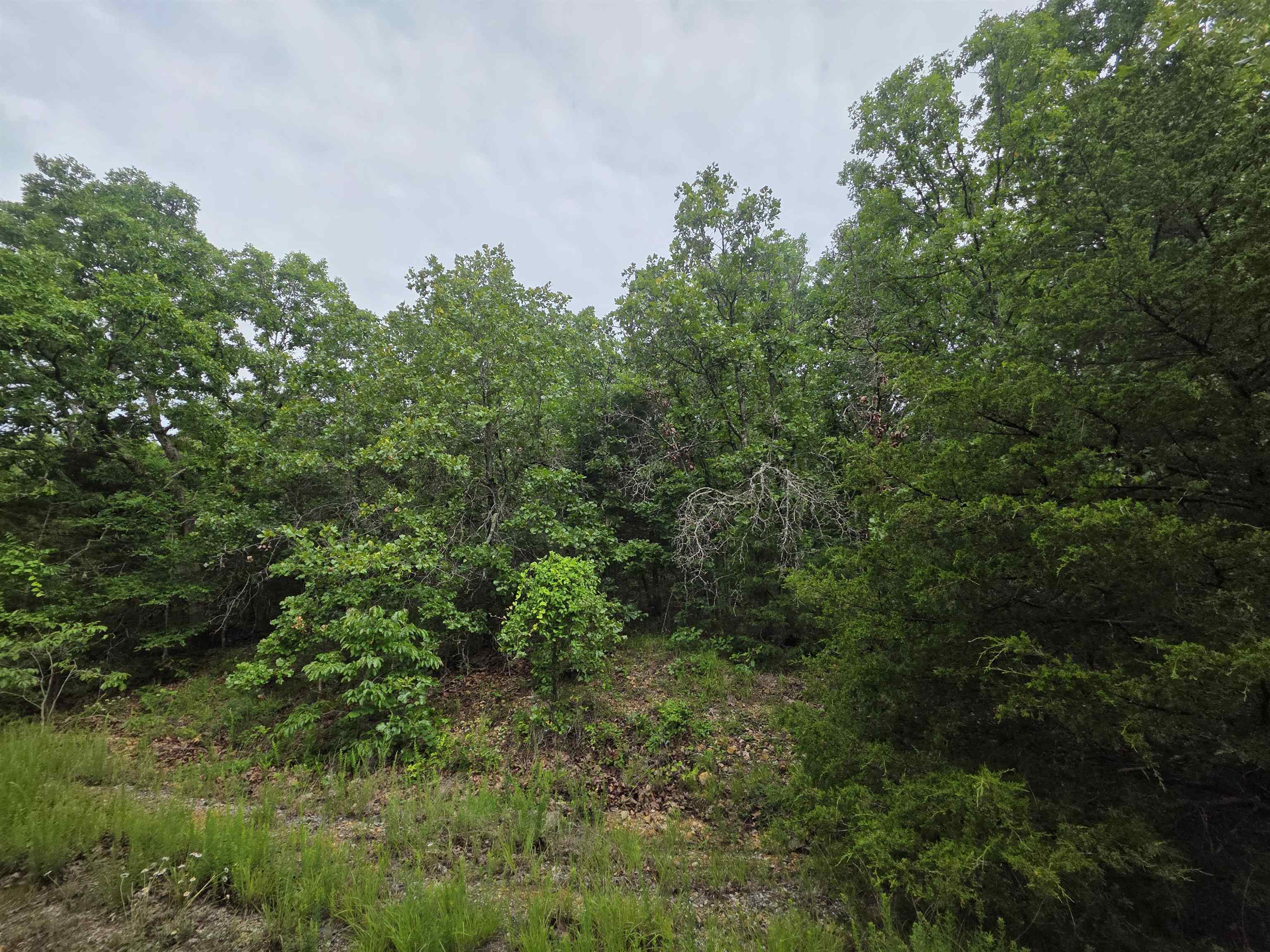 Photo 17 - Vacant Land for sale – L-10, B-4  Arizonac   Cherokee Village, AR