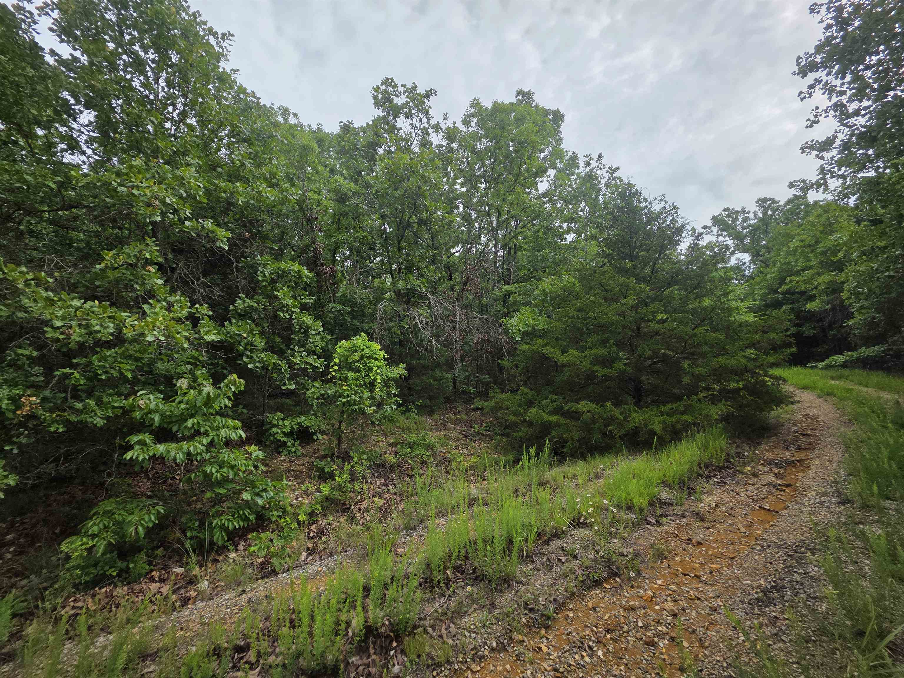 Photo 18 - Vacant Land for sale – L-10, B-4  Arizonac   Cherokee Village, AR