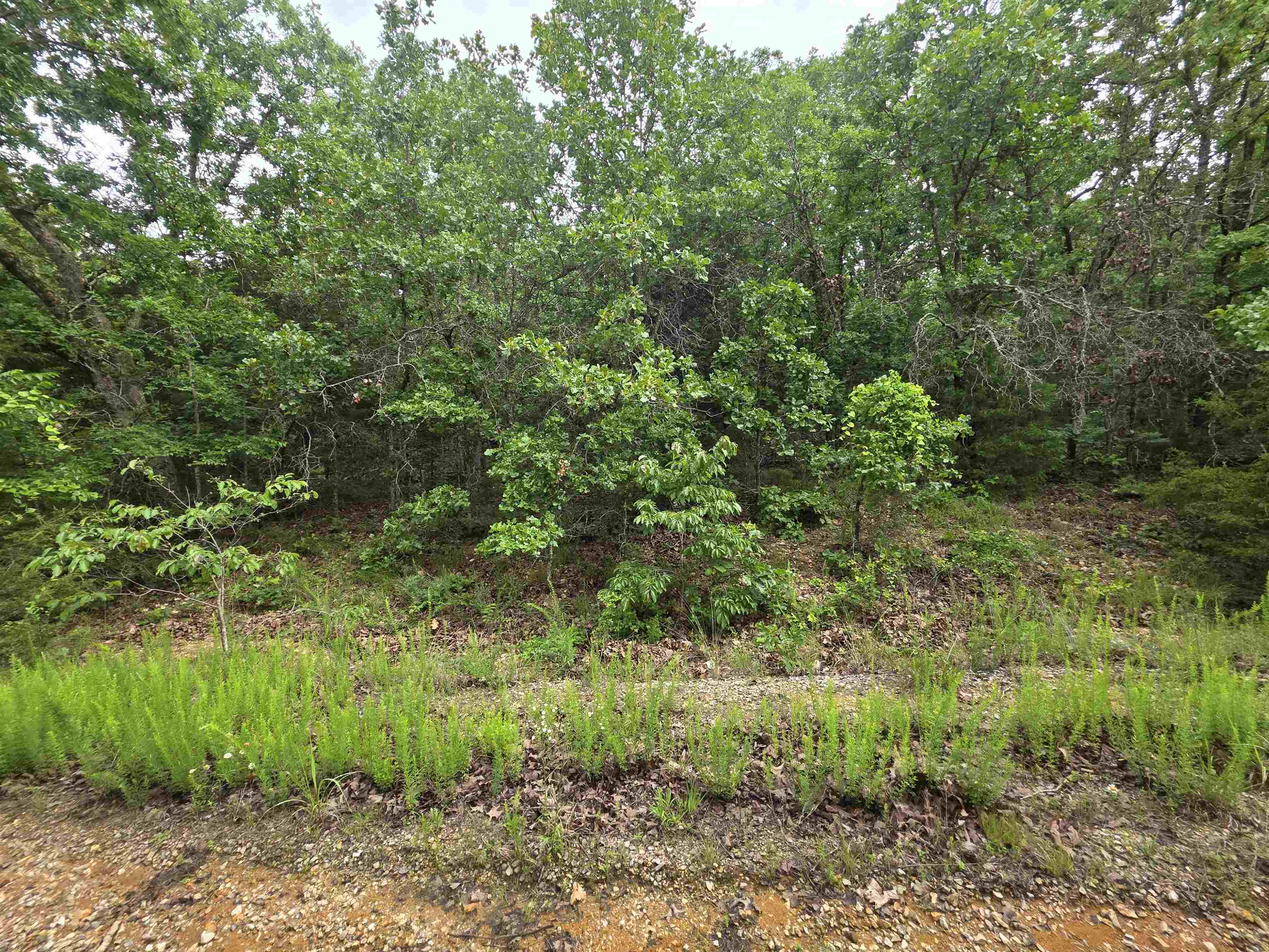 Photo 19 - Vacant Land for sale – L-10, B-4  Arizonac   Cherokee Village, AR