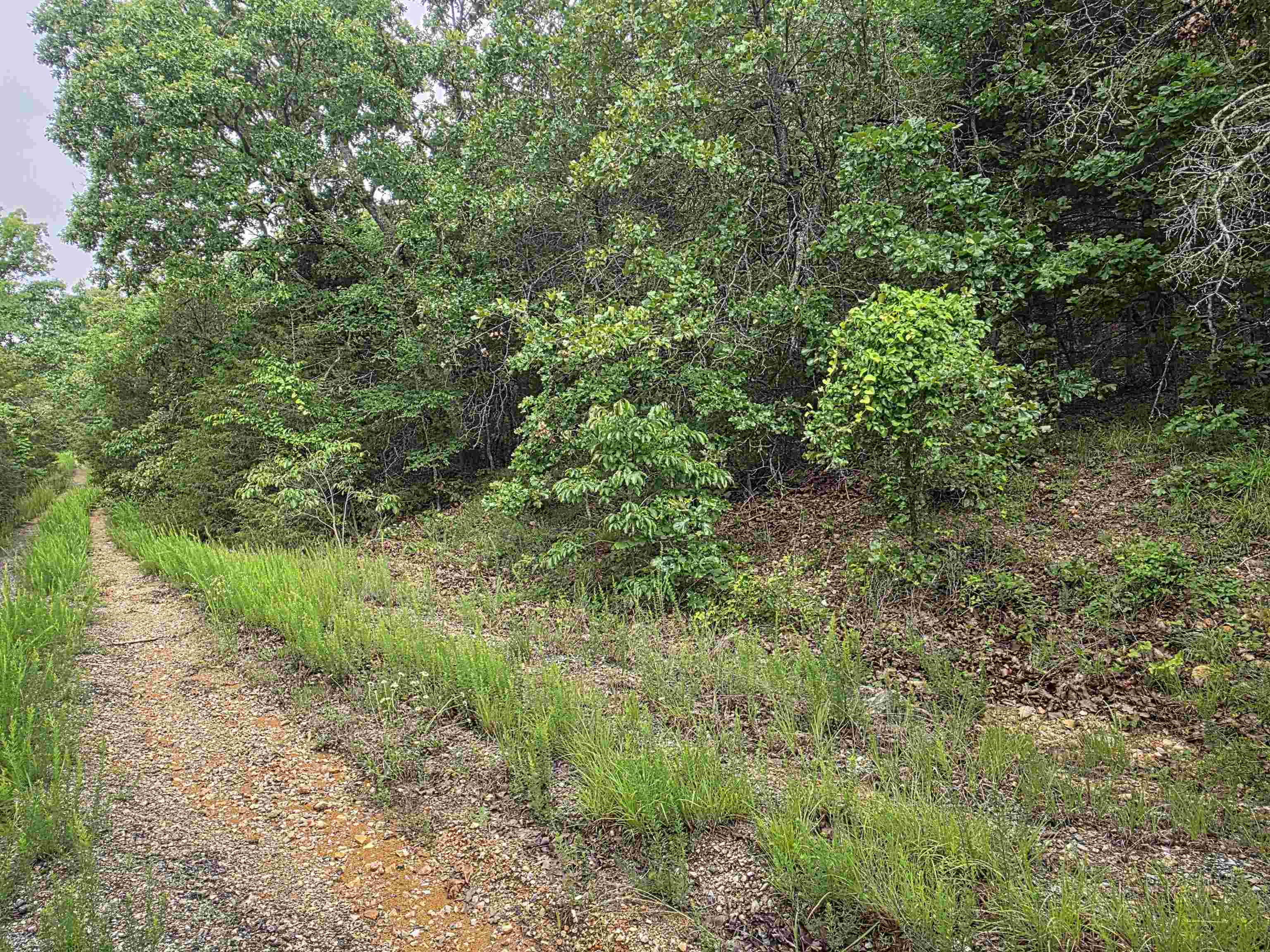 Photo 3 - Vacant Land for sale – L-10, B-4  Arizonac   Cherokee Village, AR