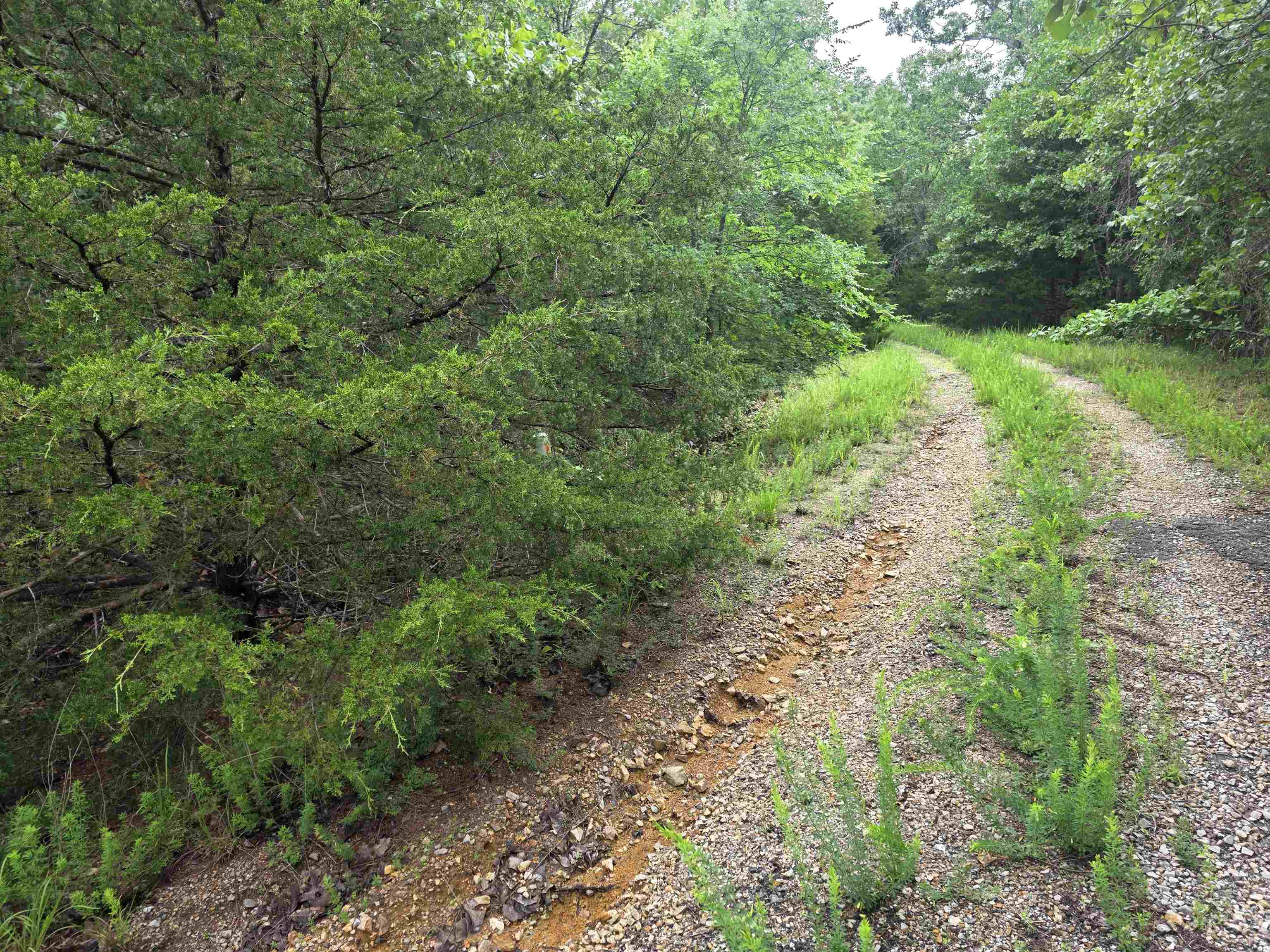 Photo 4 - Vacant Land for sale – L-10, B-4  Arizonac   Cherokee Village, AR