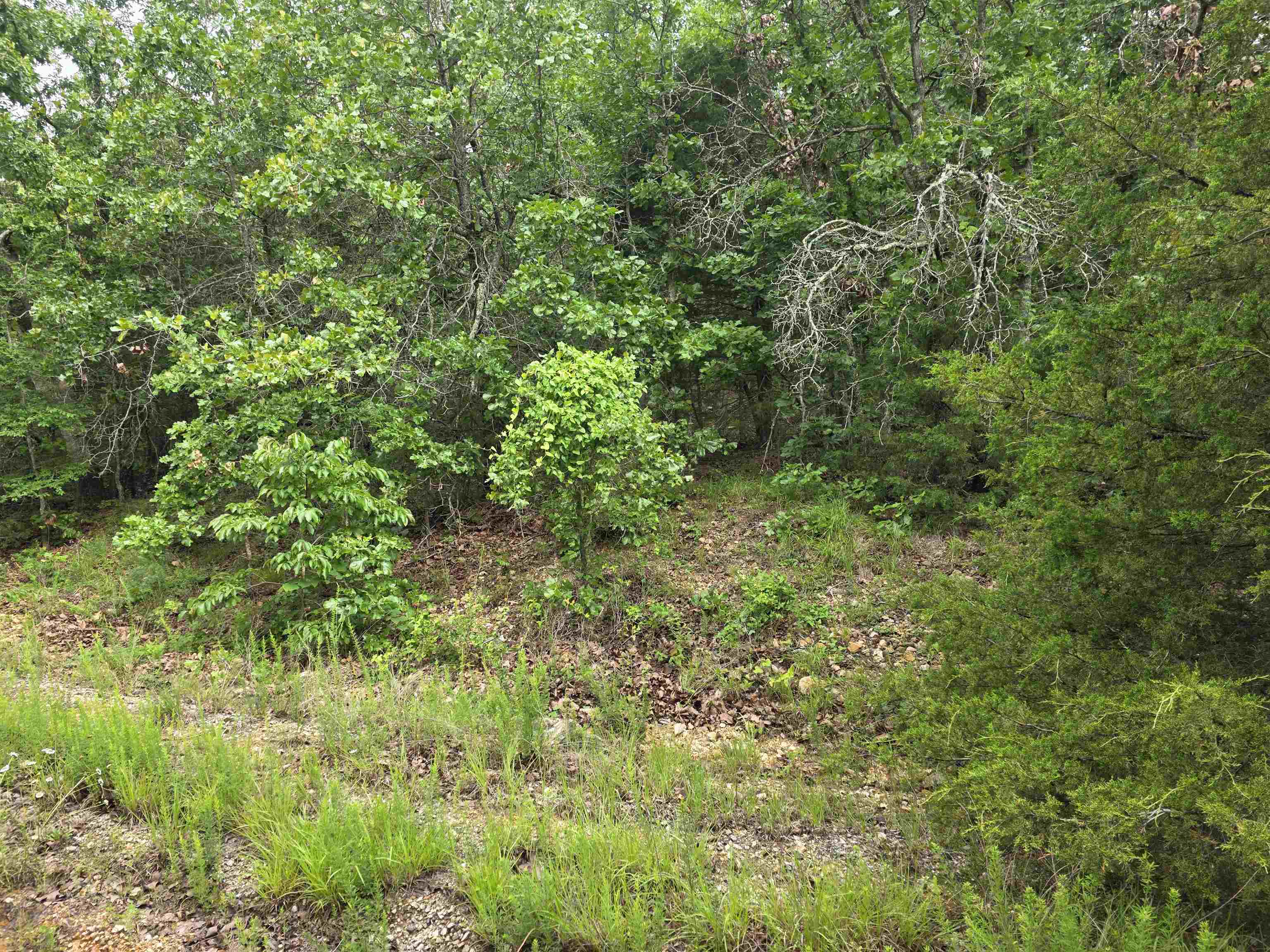 Photo 5 - Vacant Land for sale – L-10, B-4  Arizonac   Cherokee Village, AR