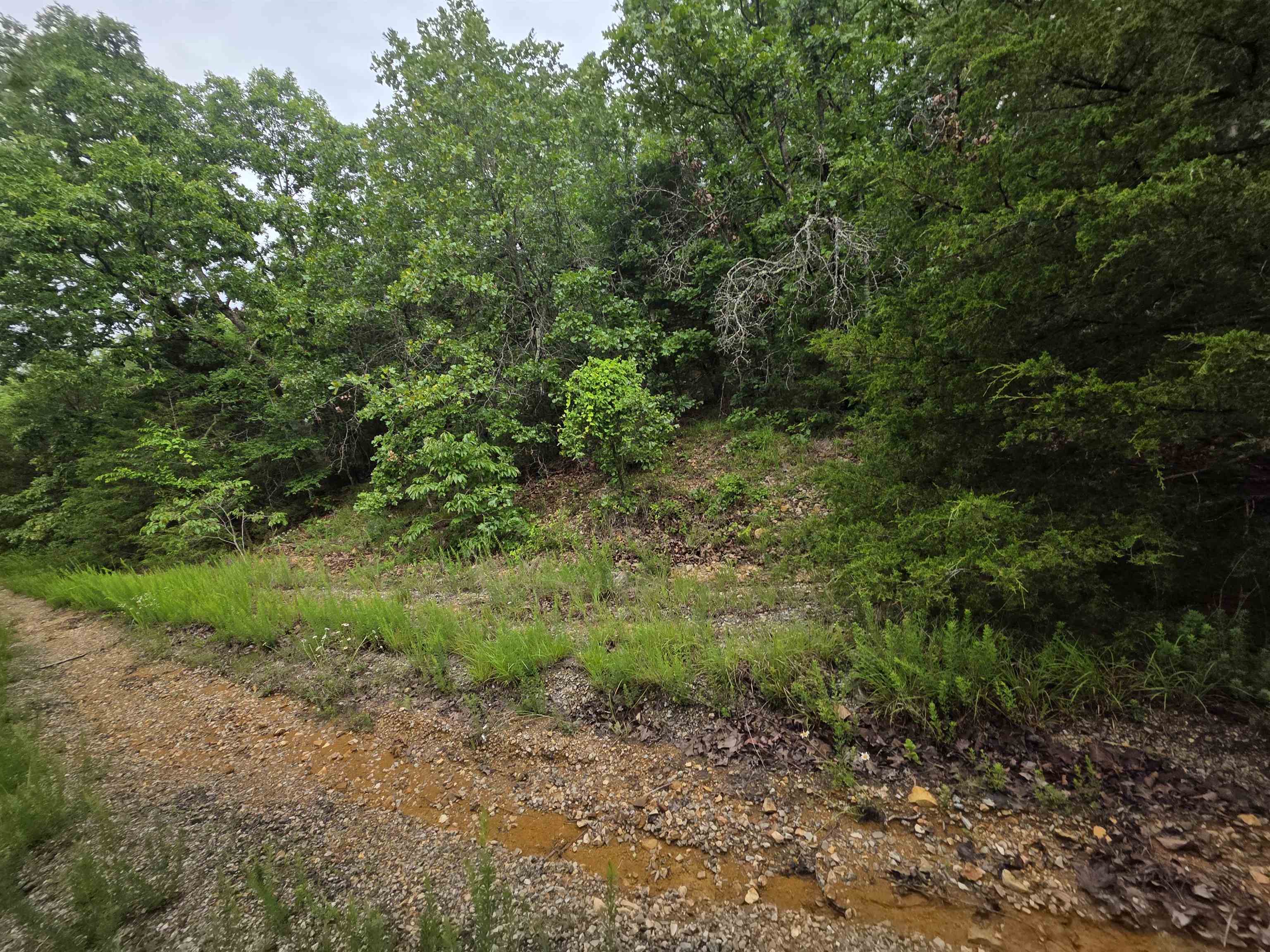 Photo 6 - Vacant Land for sale – L-10, B-4  Arizonac   Cherokee Village, AR