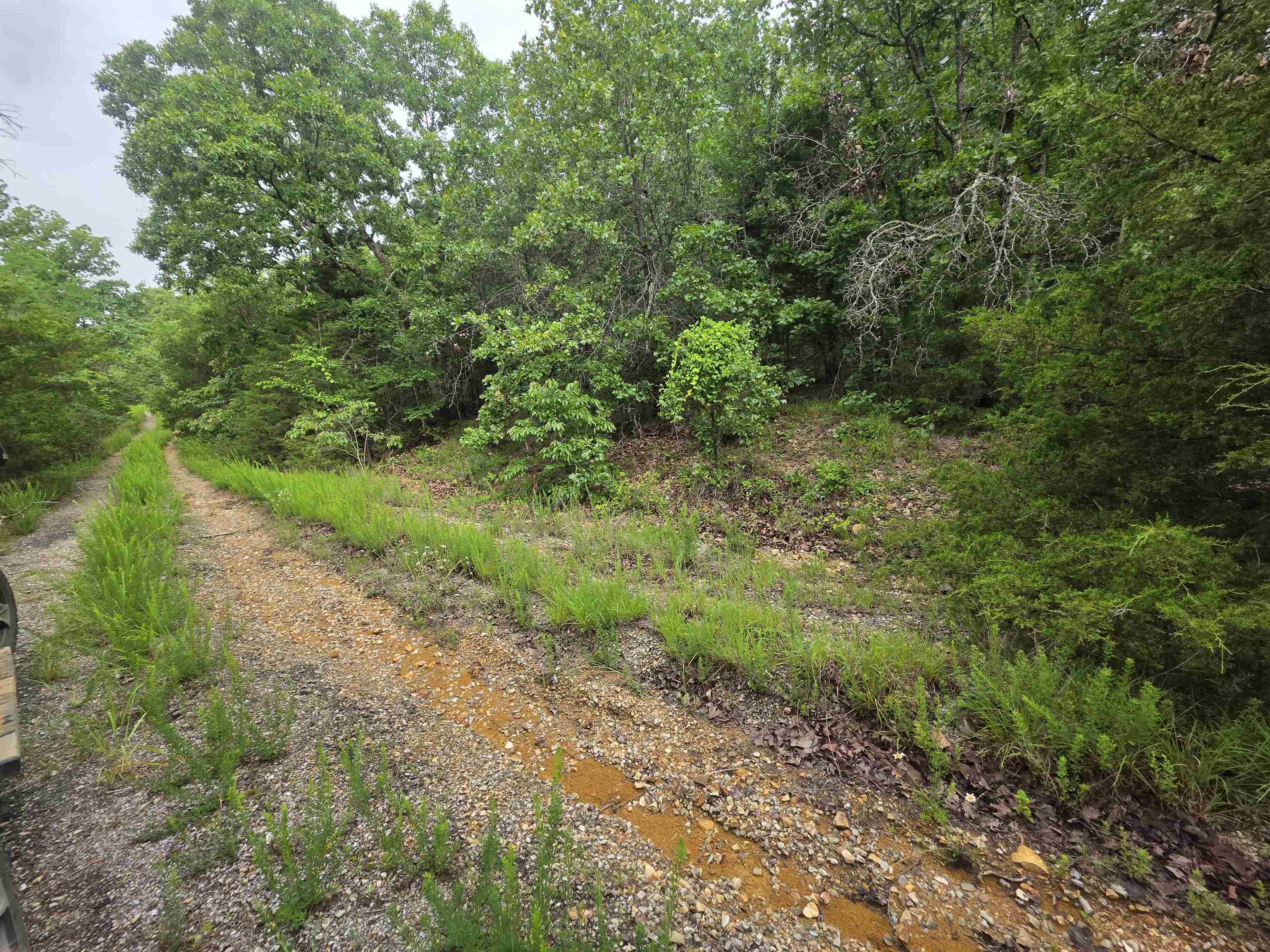 Photo 7 - Vacant Land for sale – L-10, B-4  Arizonac   Cherokee Village, AR