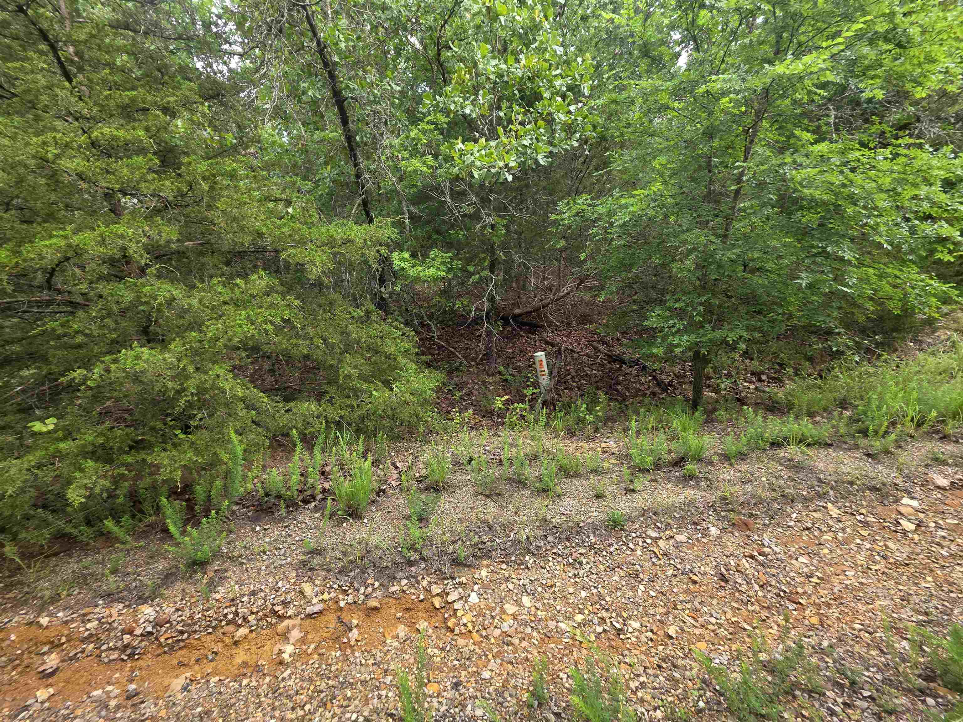 Photo 8 - Vacant Land for sale – L-10, B-4  Arizonac   Cherokee Village, AR