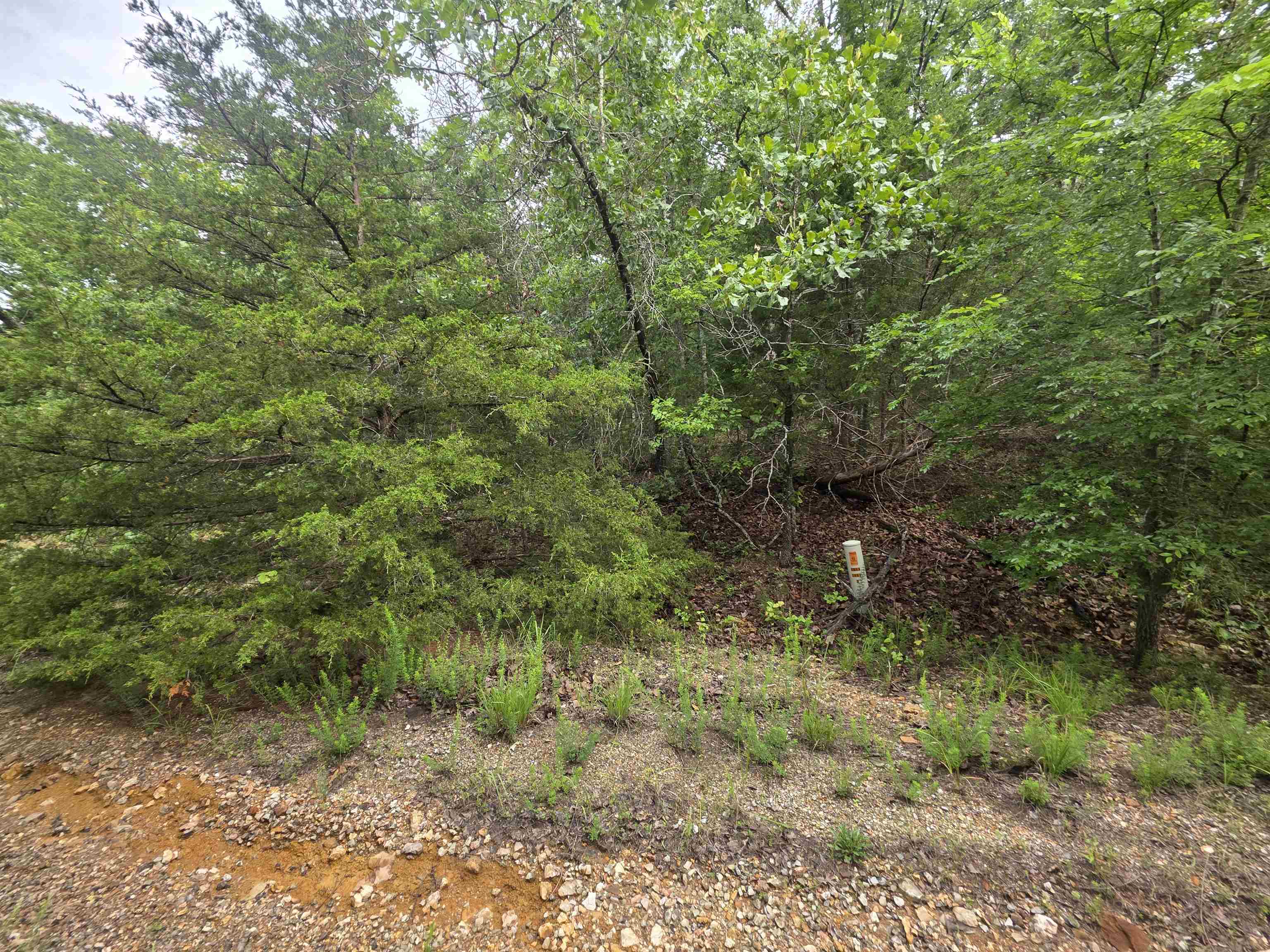 Photo 9 - Vacant Land for sale – L-10, B-4  Arizonac   Cherokee Village, AR