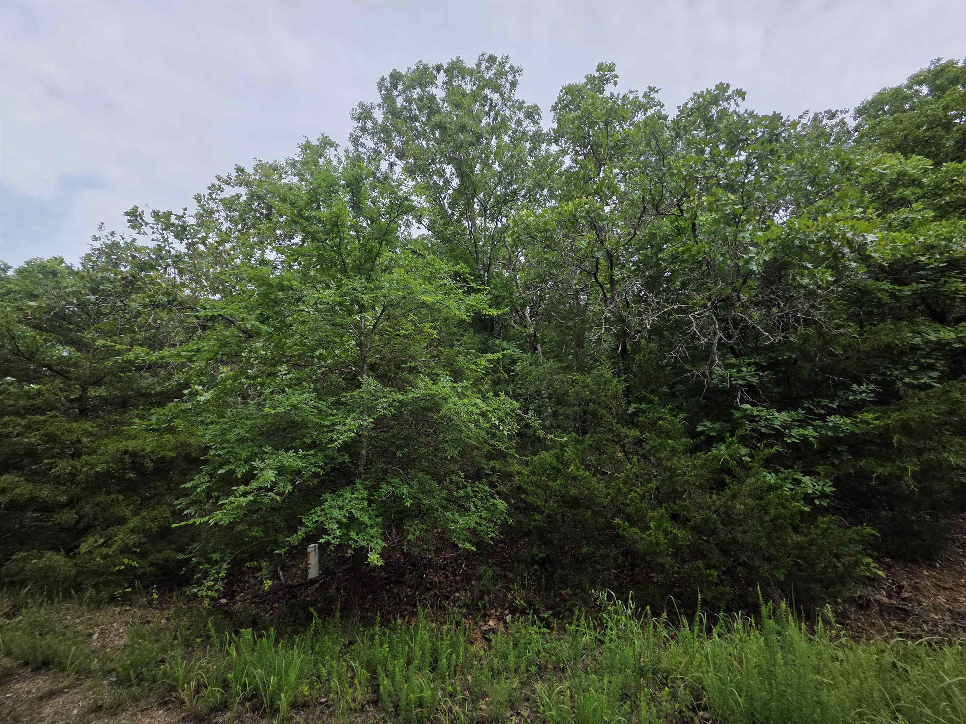 Photo 10 - Vacant Land for sale – L-10, B-4  Arizonac   Cherokee Village, AR
