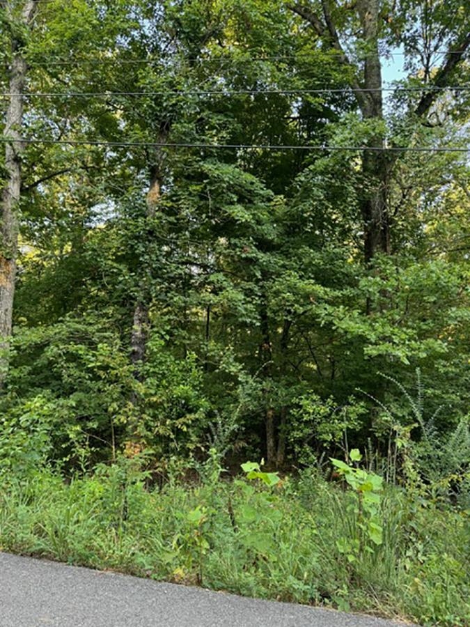Vacant Land for sale –   Woodland Hills   Hardy, AR