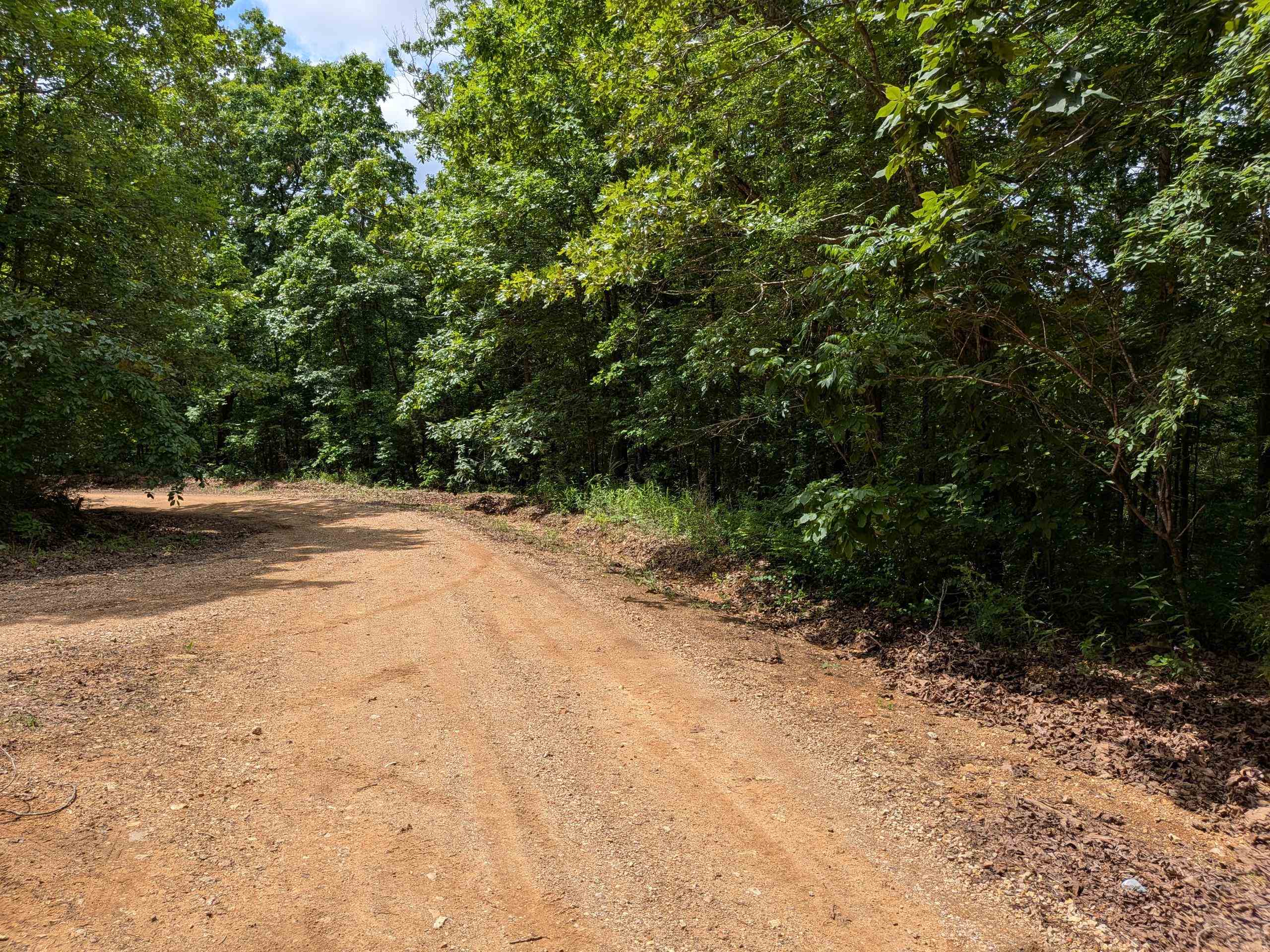 Photo 3 - Vacant Land for sale –   East Lakeshore   Ozark Acres, AR