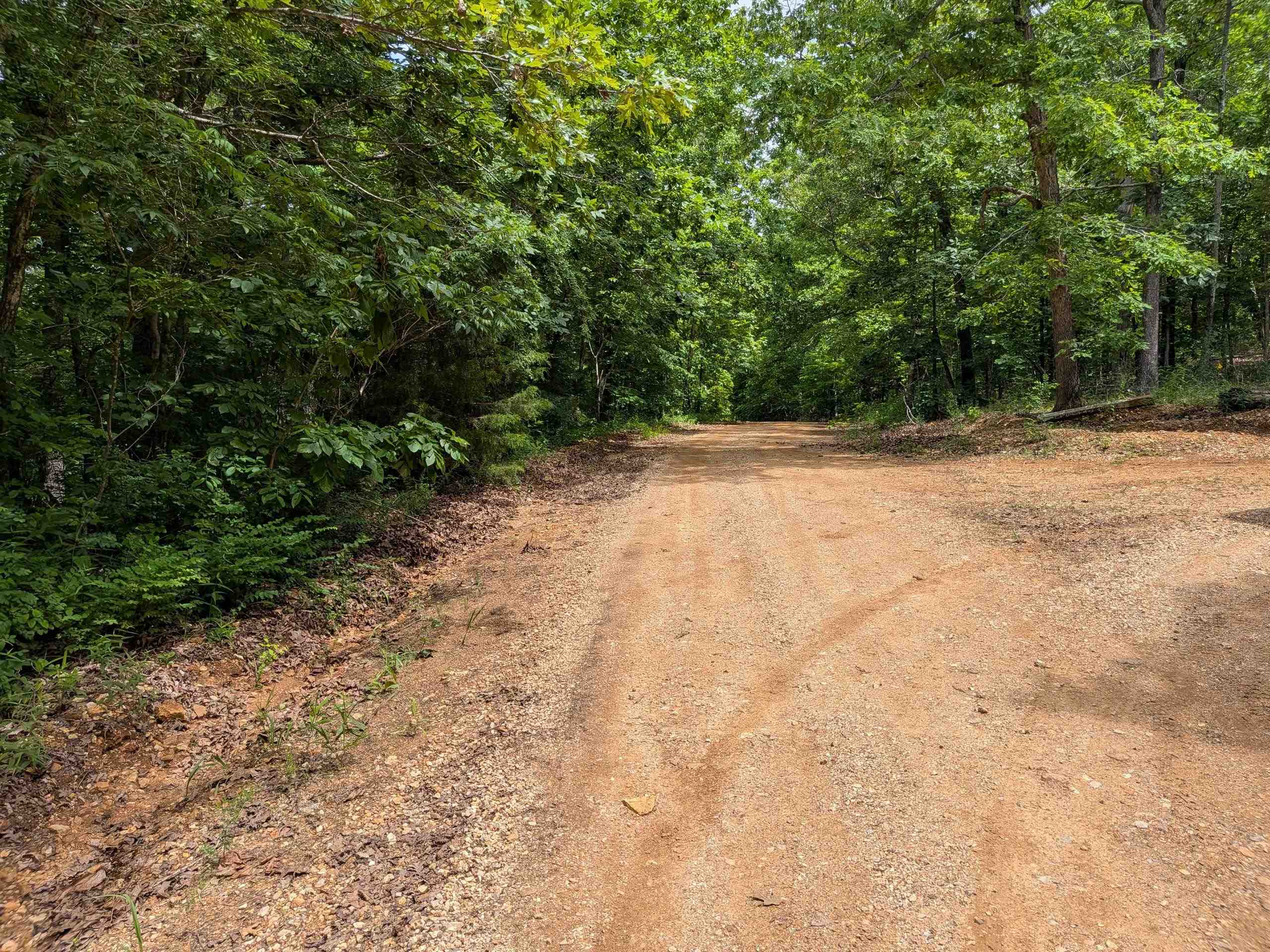 Photo 6 - Vacant Land for sale –   East Lakeshore   Ozark Acres, AR