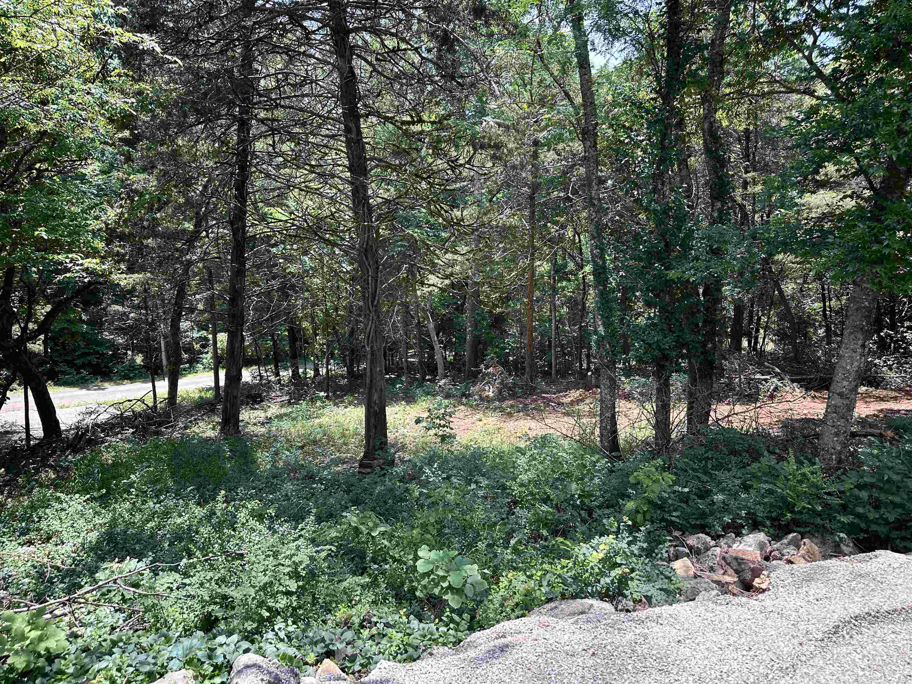 Photo 30 - Residential for sale – 26  Quapaw   Cherokee Village, AR