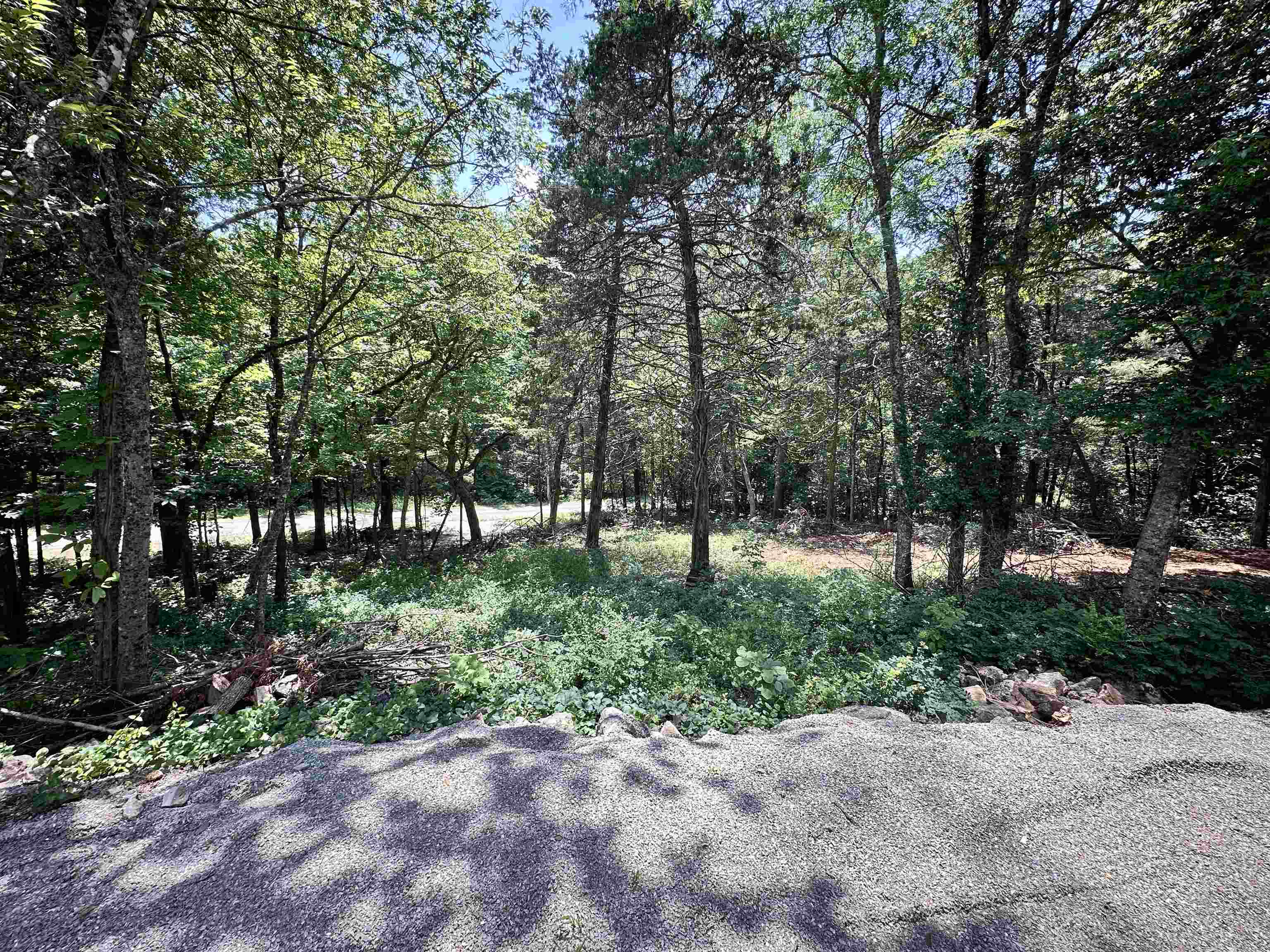 Photo 31 - Residential for sale – 26  Quapaw   Cherokee Village, AR