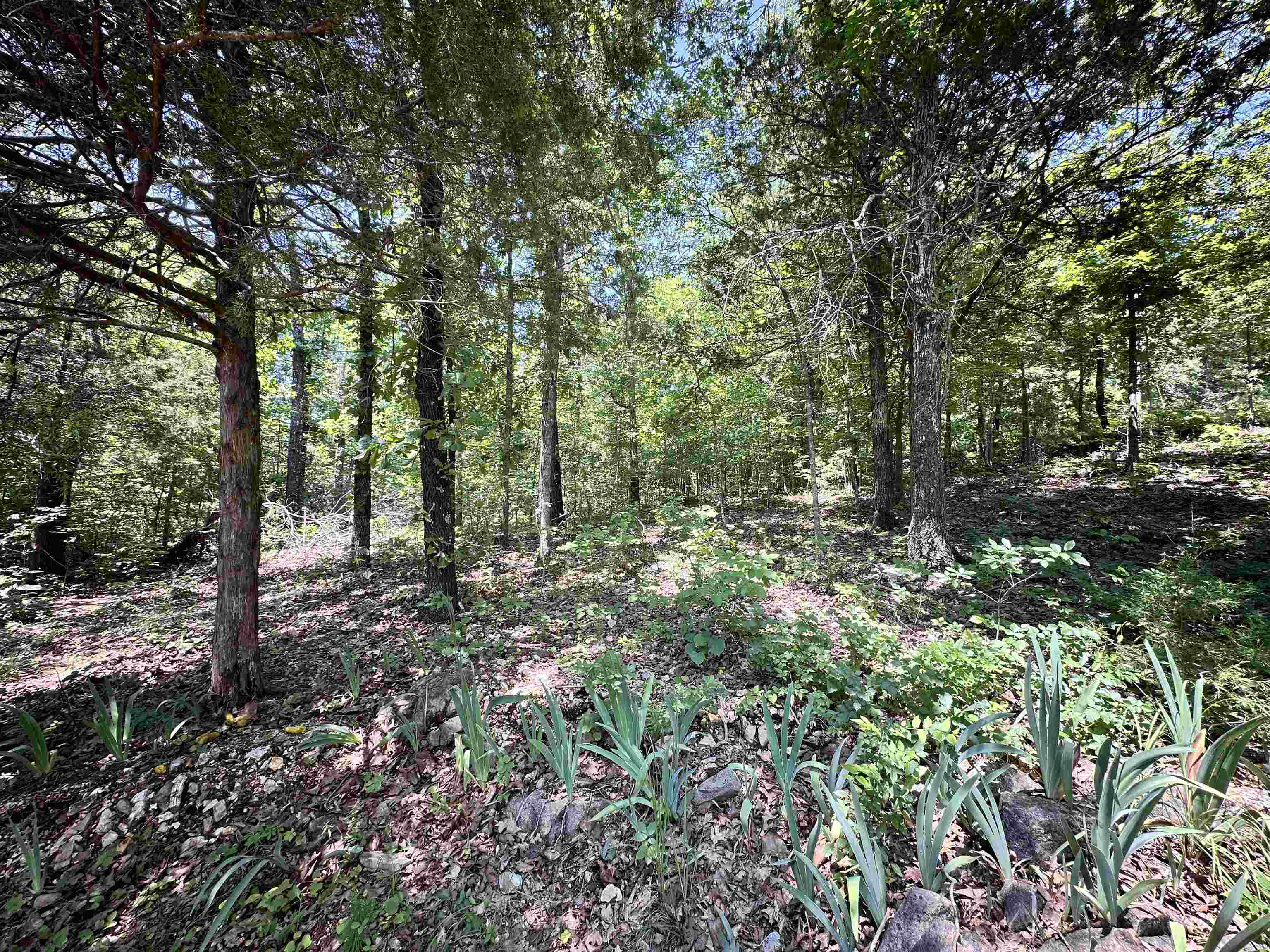 Photo 32 - Residential for sale – 26  Quapaw   Cherokee Village, AR