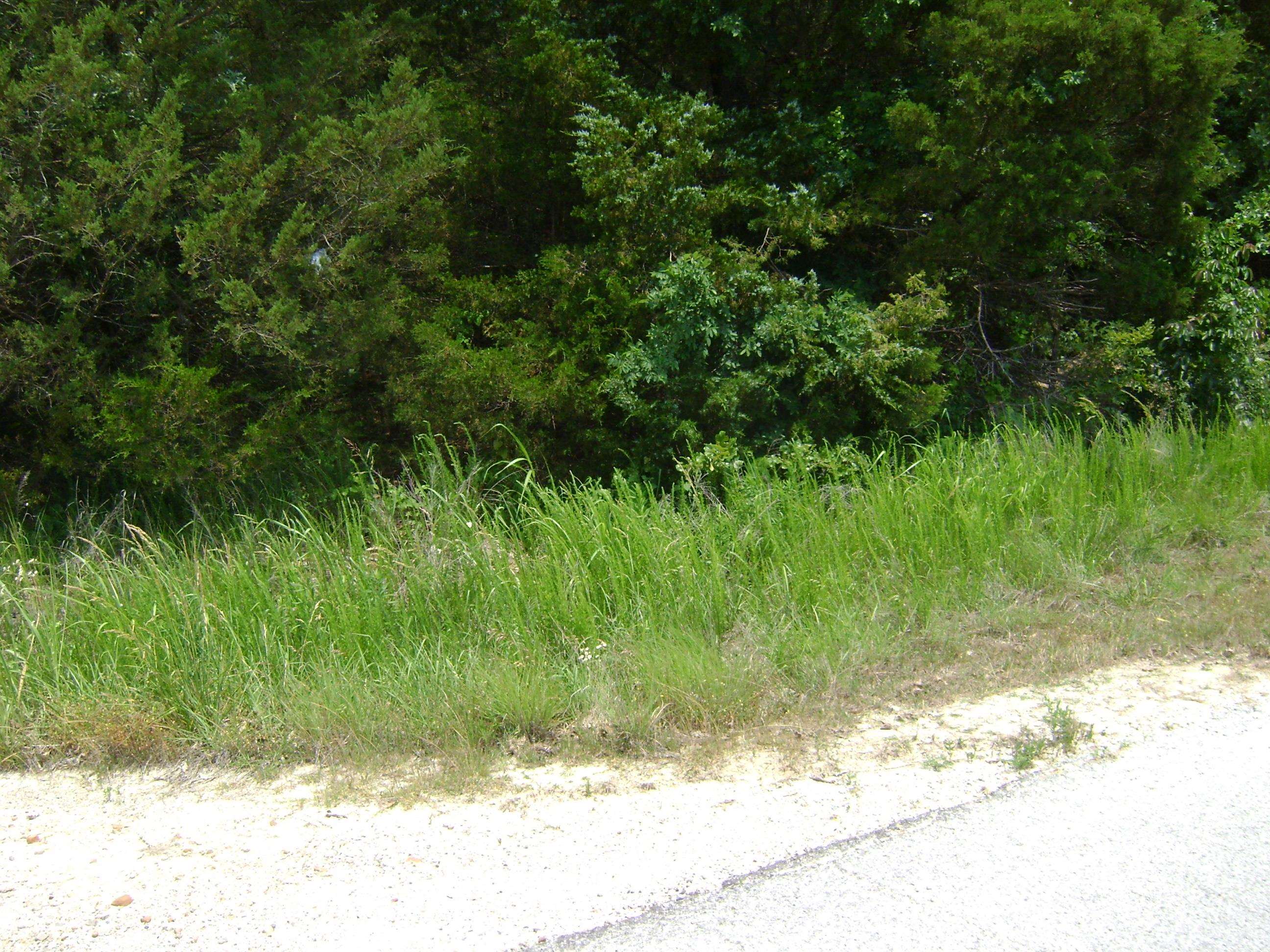 Photo 2 - Commercial / Industrial for sale – 412  Market Street   Horseshoe Bend, AR