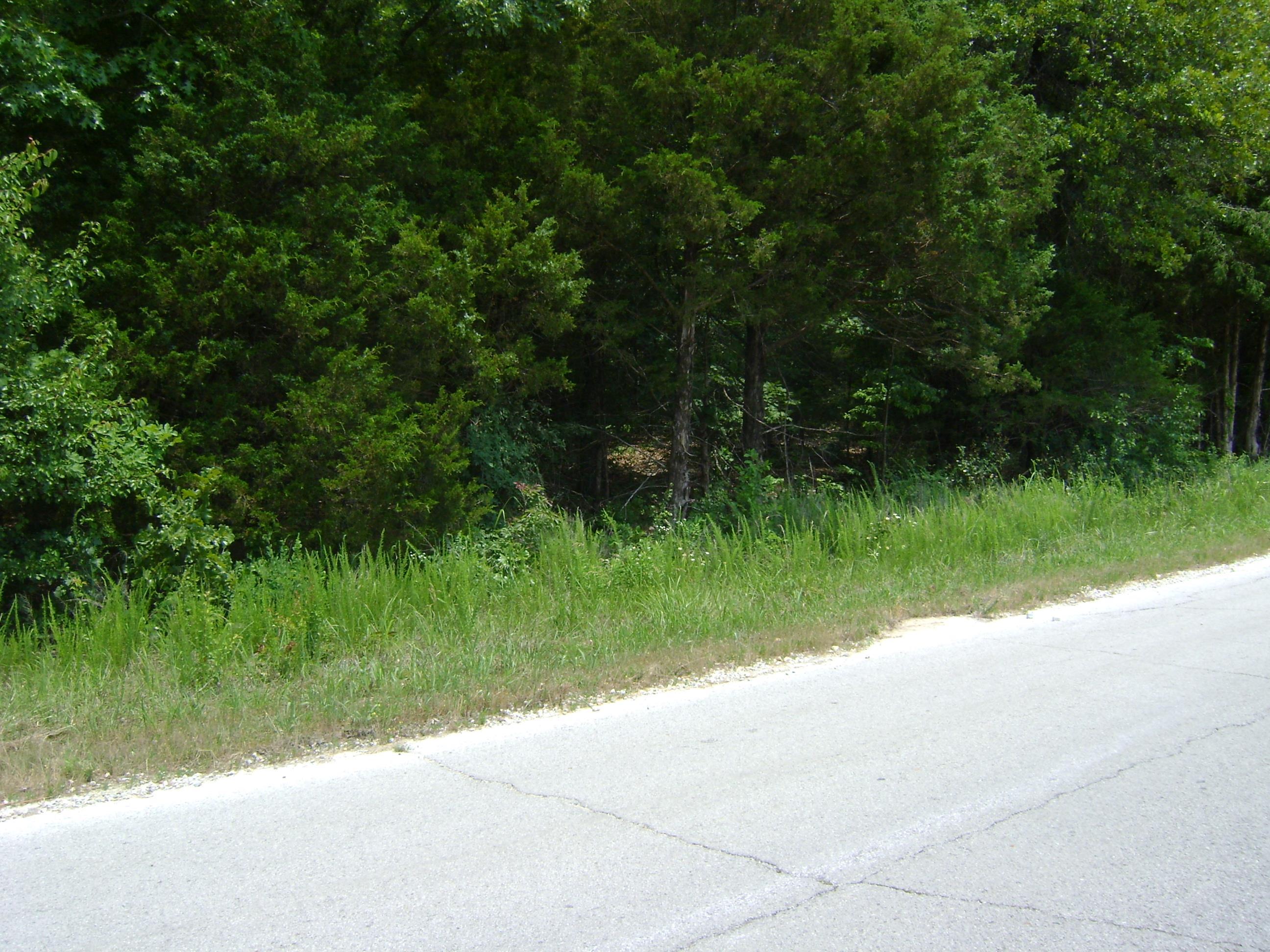 Photo 5 - Commercial / Industrial for sale – 412  Market Street   Horseshoe Bend, AR