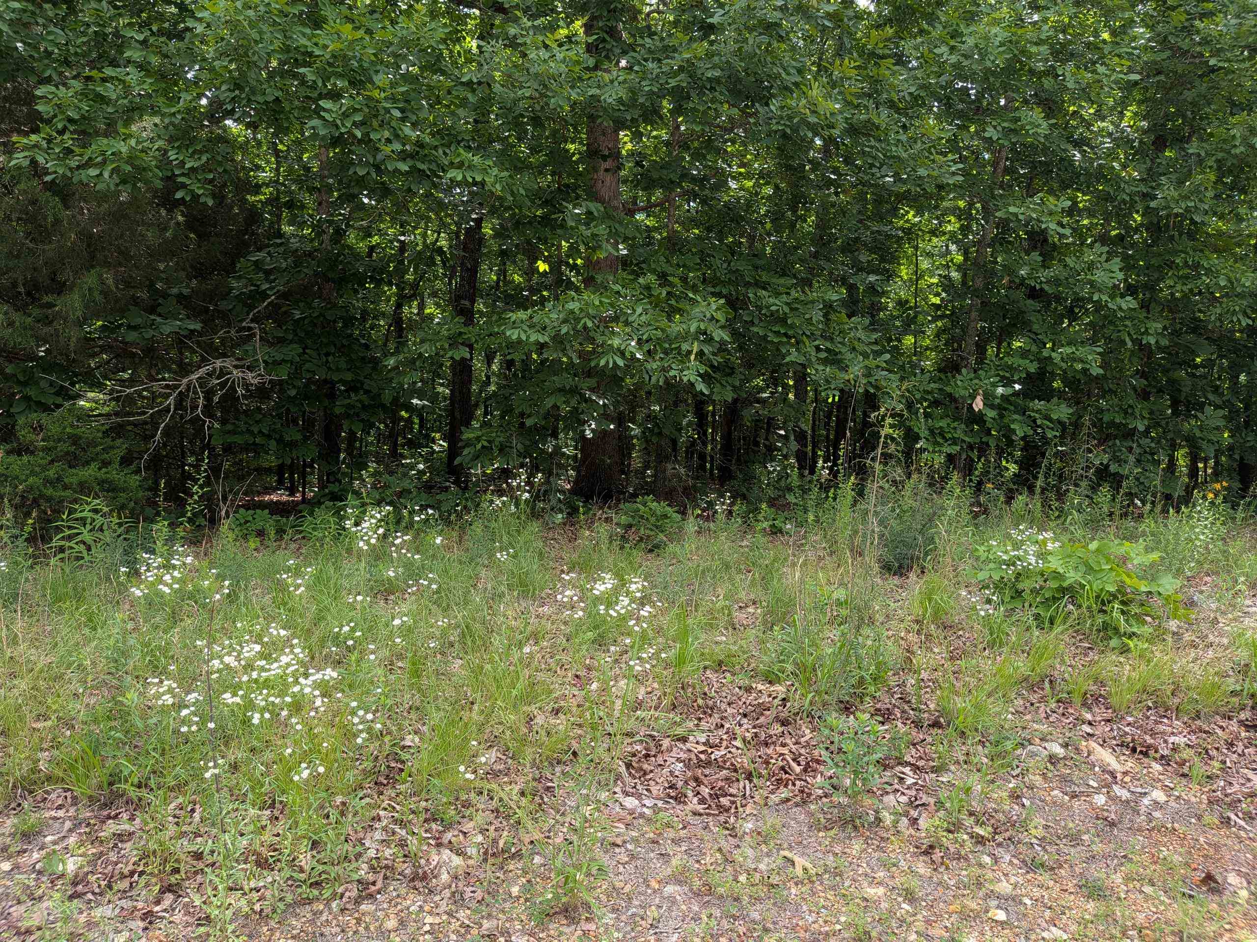 Photo 2 - Vacant Land for sale –   Summit Ridge   Ozark Acres, AR