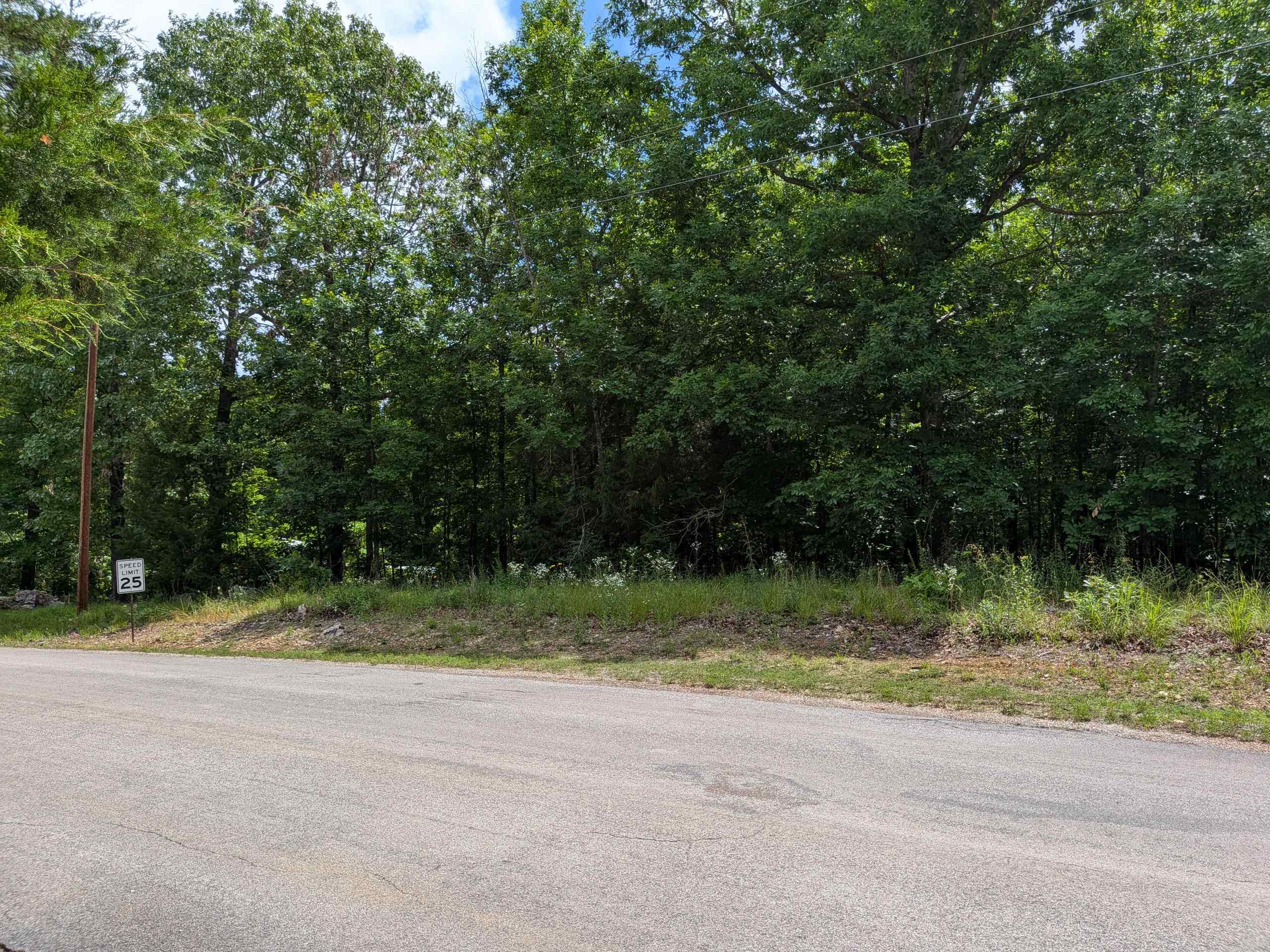 Photo 3 - Vacant Land for sale –   Summit Ridge   Ozark Acres, AR