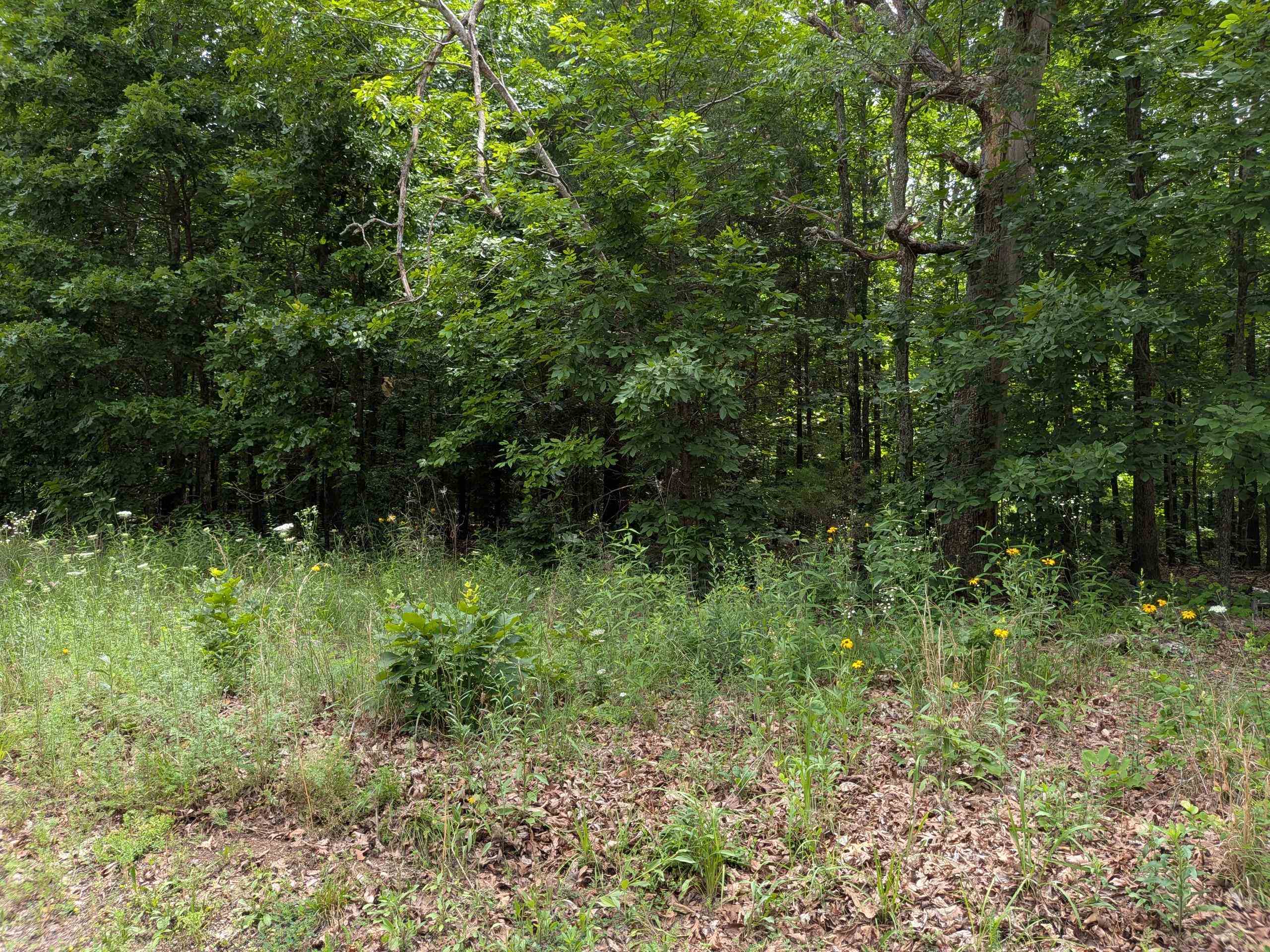 Photo 5 - Vacant Land for sale –   Summit Ridge   Ozark Acres, AR