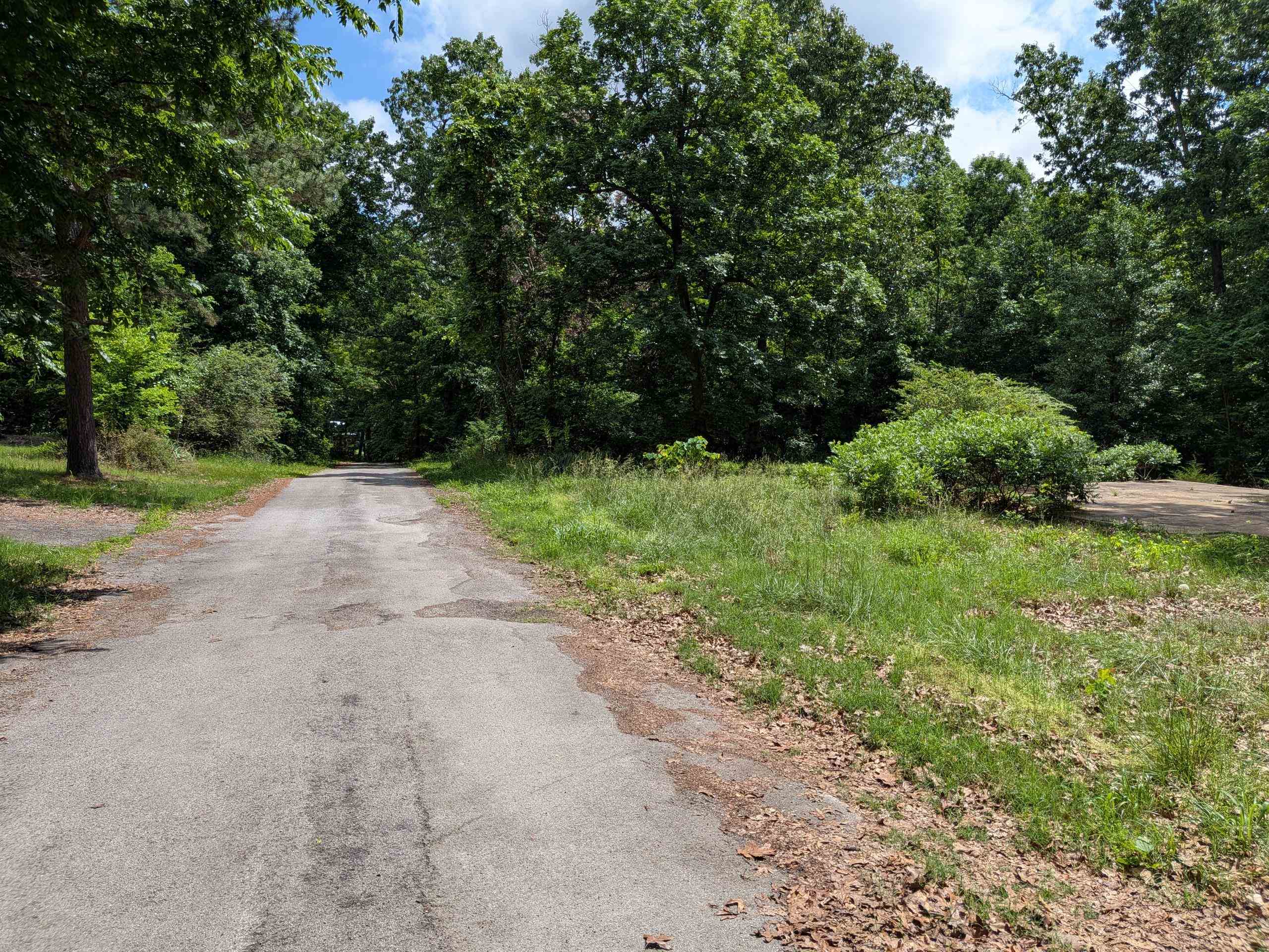 Photo 2 - Vacant Land for sale –   Dogwood   Ozark Acres, AR
