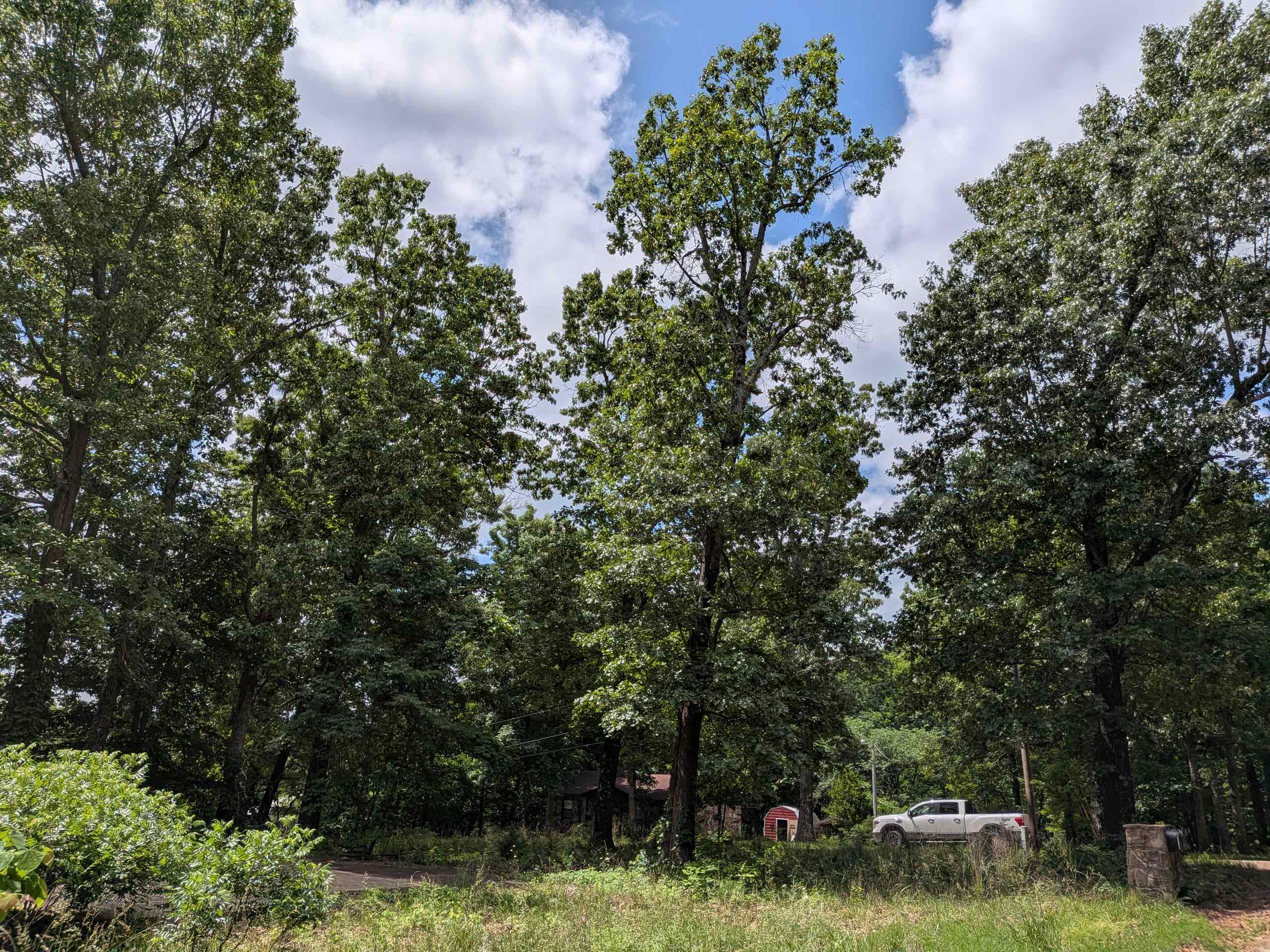 Photo 5 - Vacant Land for sale –   Dogwood   Ozark Acres, AR