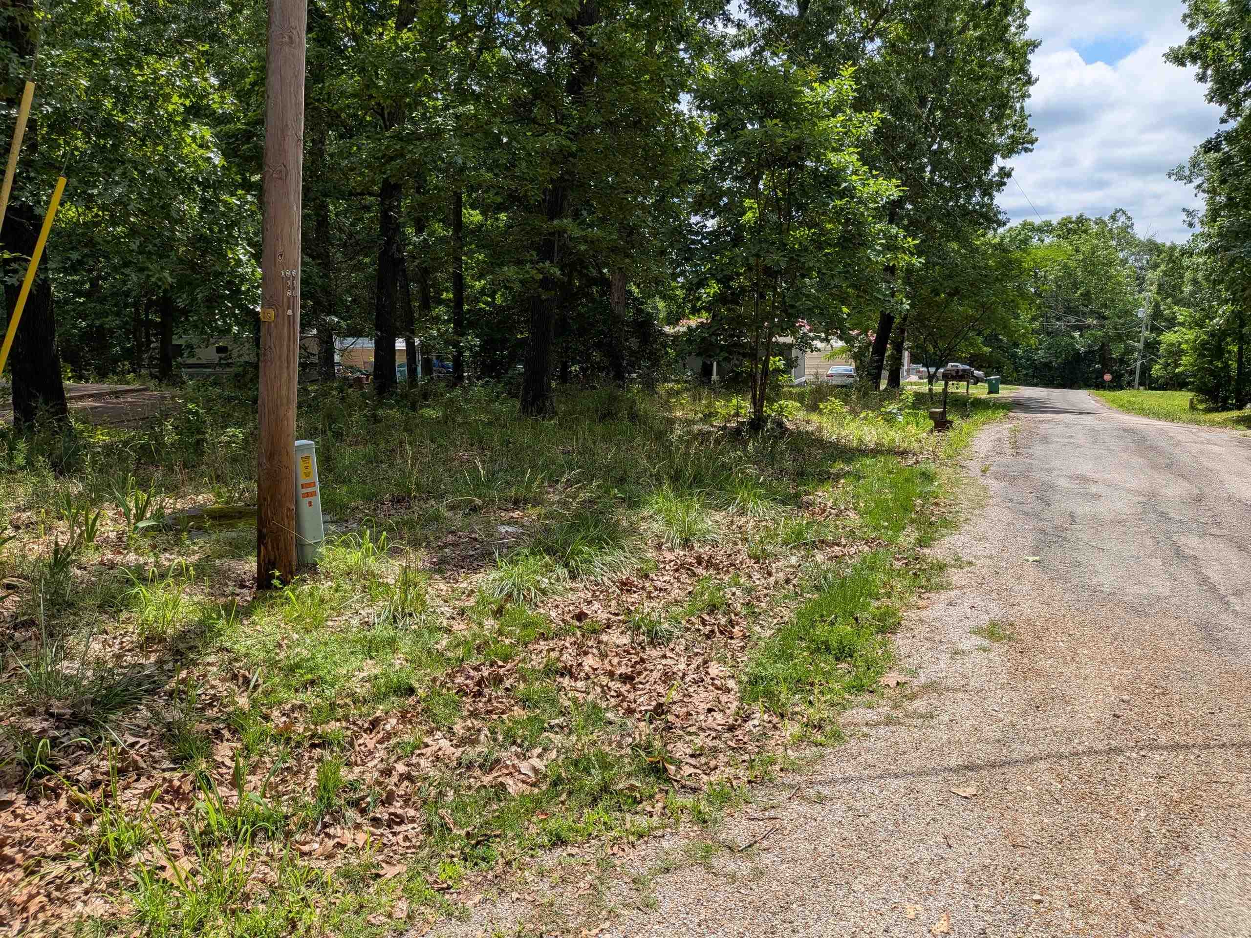Photo 7 - Vacant Land for sale –   Dogwood   Ozark Acres, AR