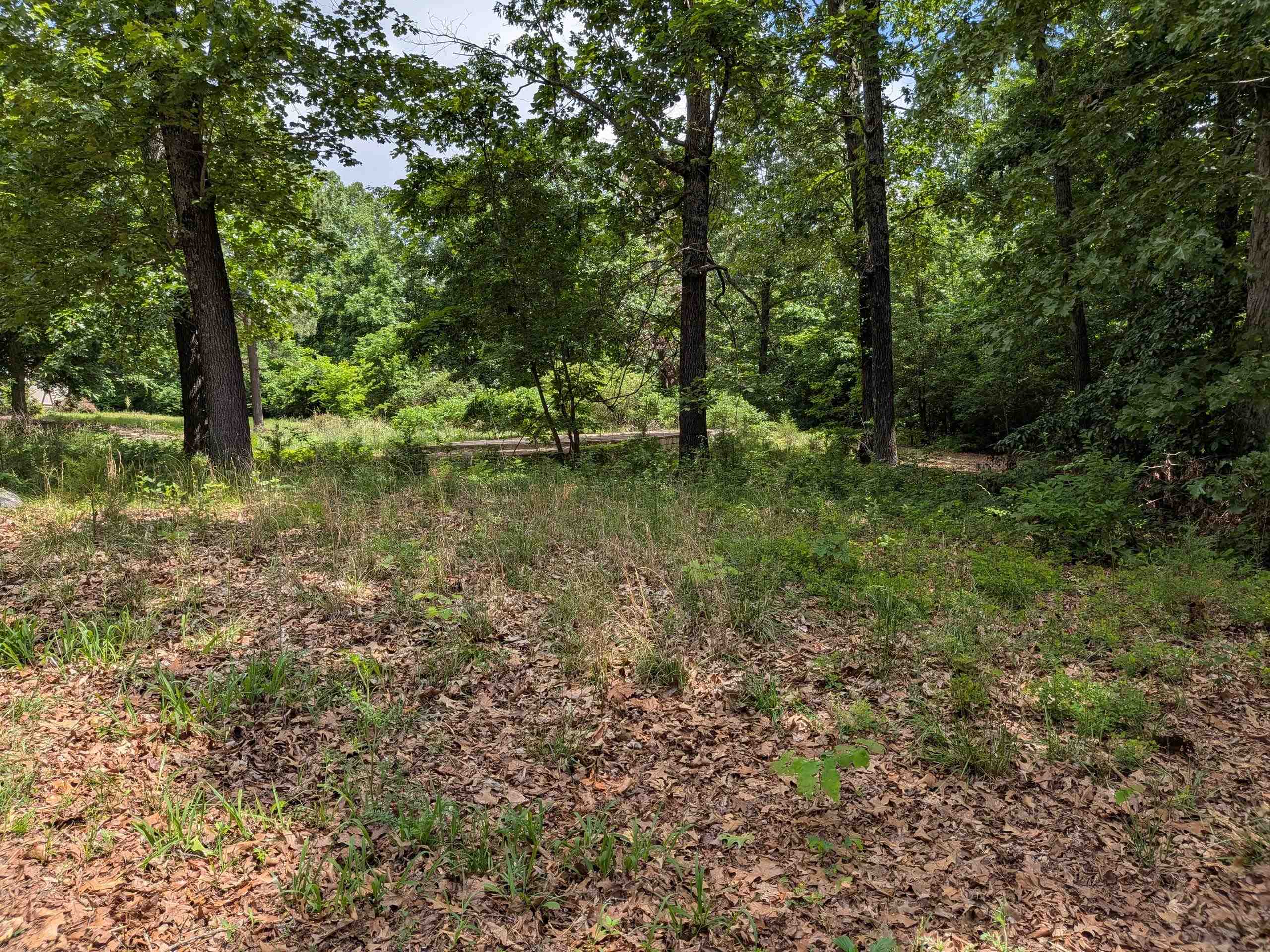 Photo 8 - Vacant Land for sale –   Dogwood   Ozark Acres, AR