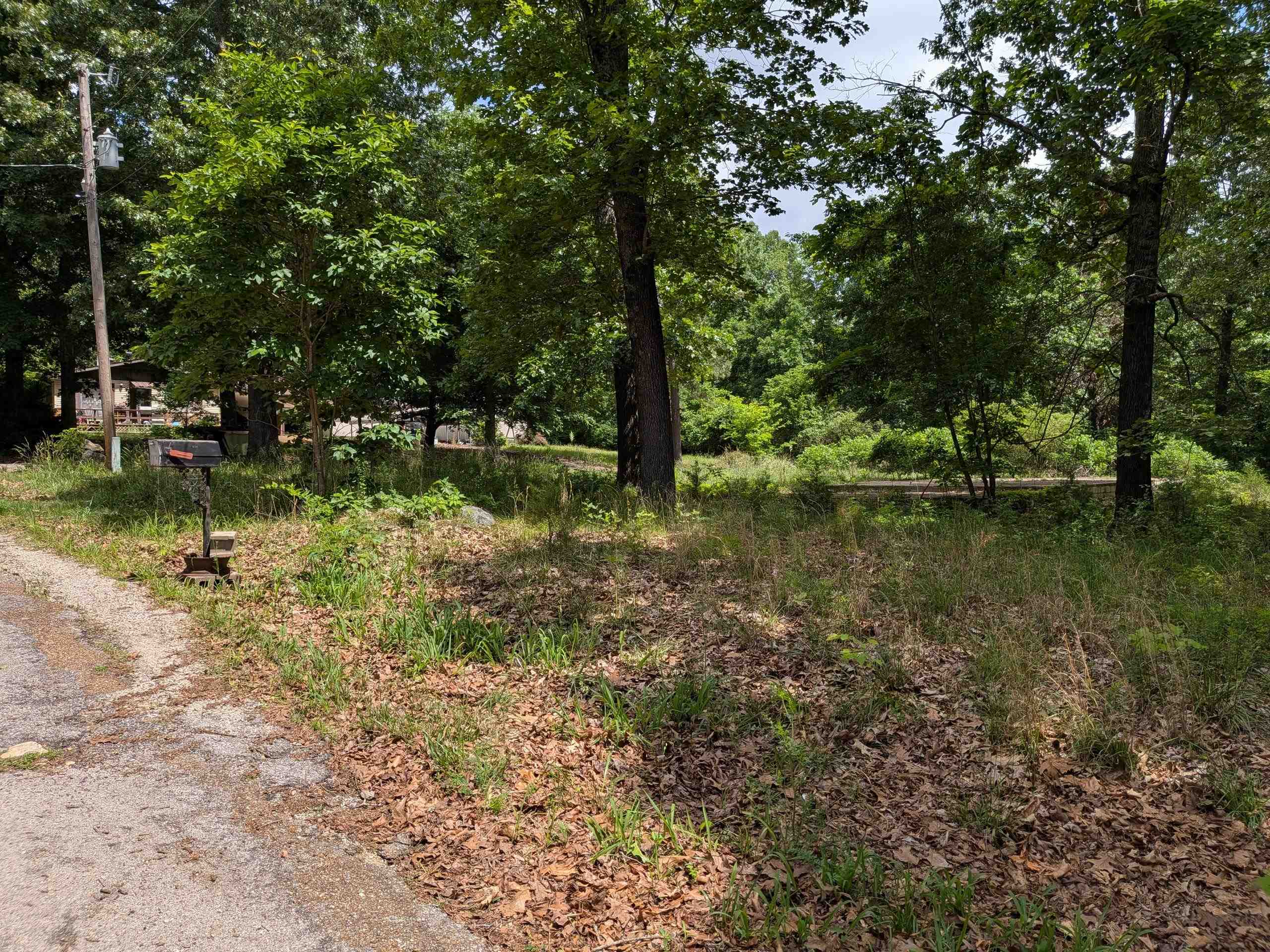 Photo 9 - Vacant Land for sale –   Dogwood   Ozark Acres, AR