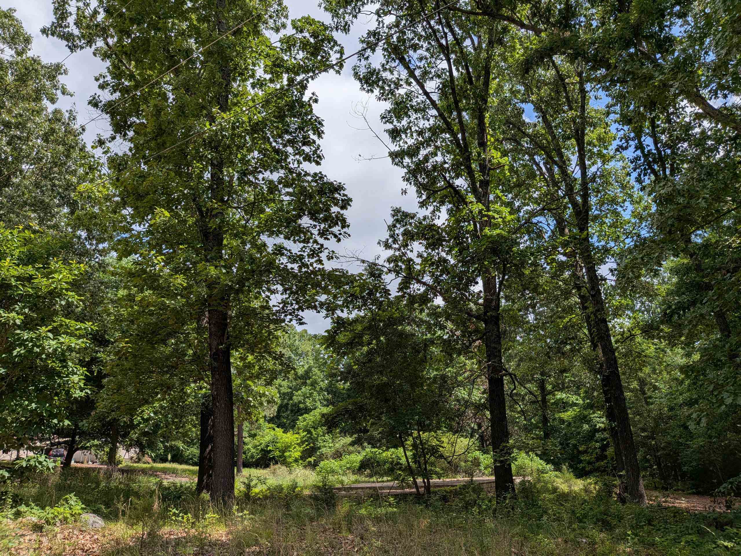 Photo 10 - Vacant Land for sale –   Dogwood   Ozark Acres, AR
