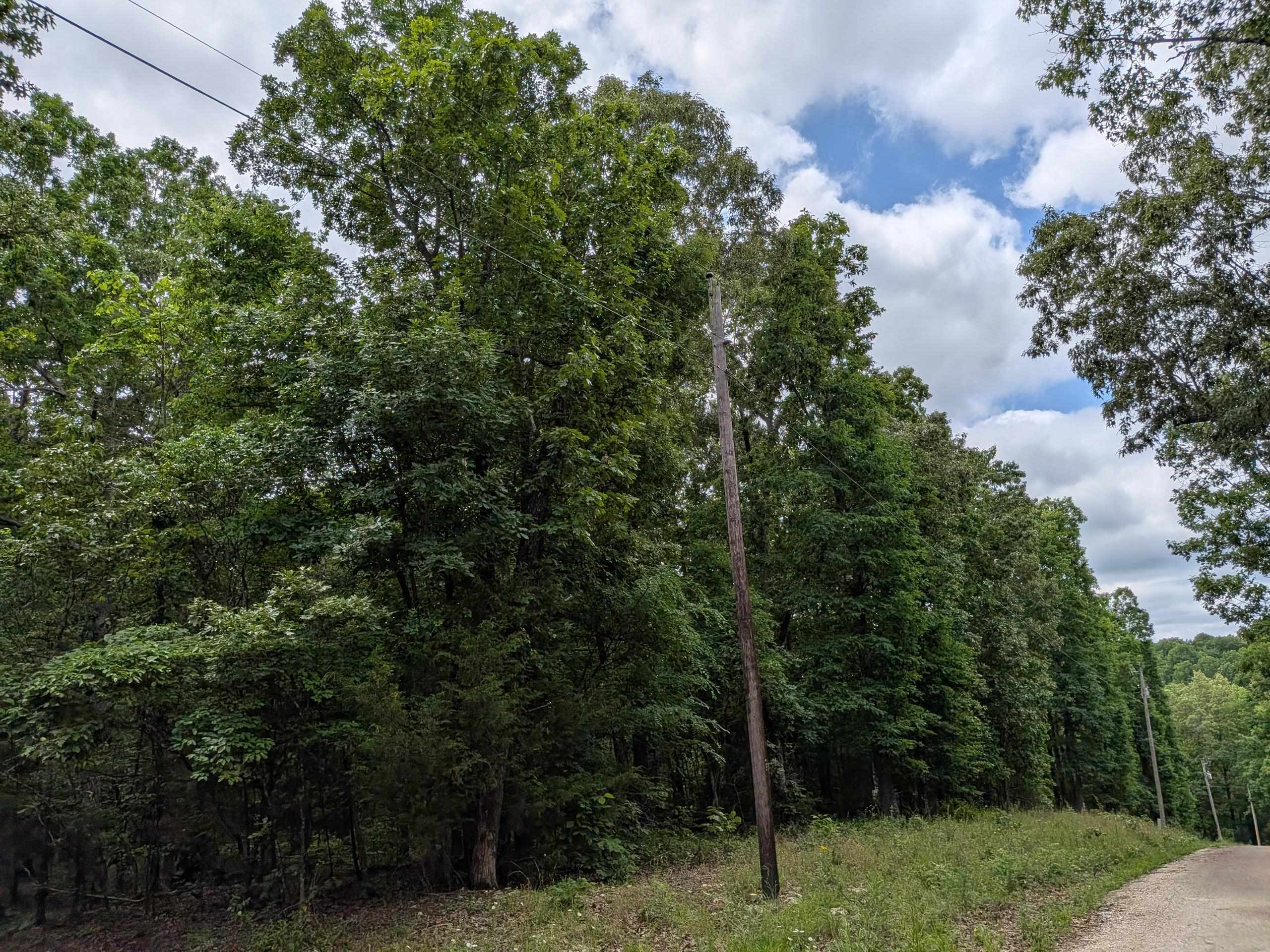 Photo 2 - Vacant Land for sale –   Kimberly   Ozark Acres, AR