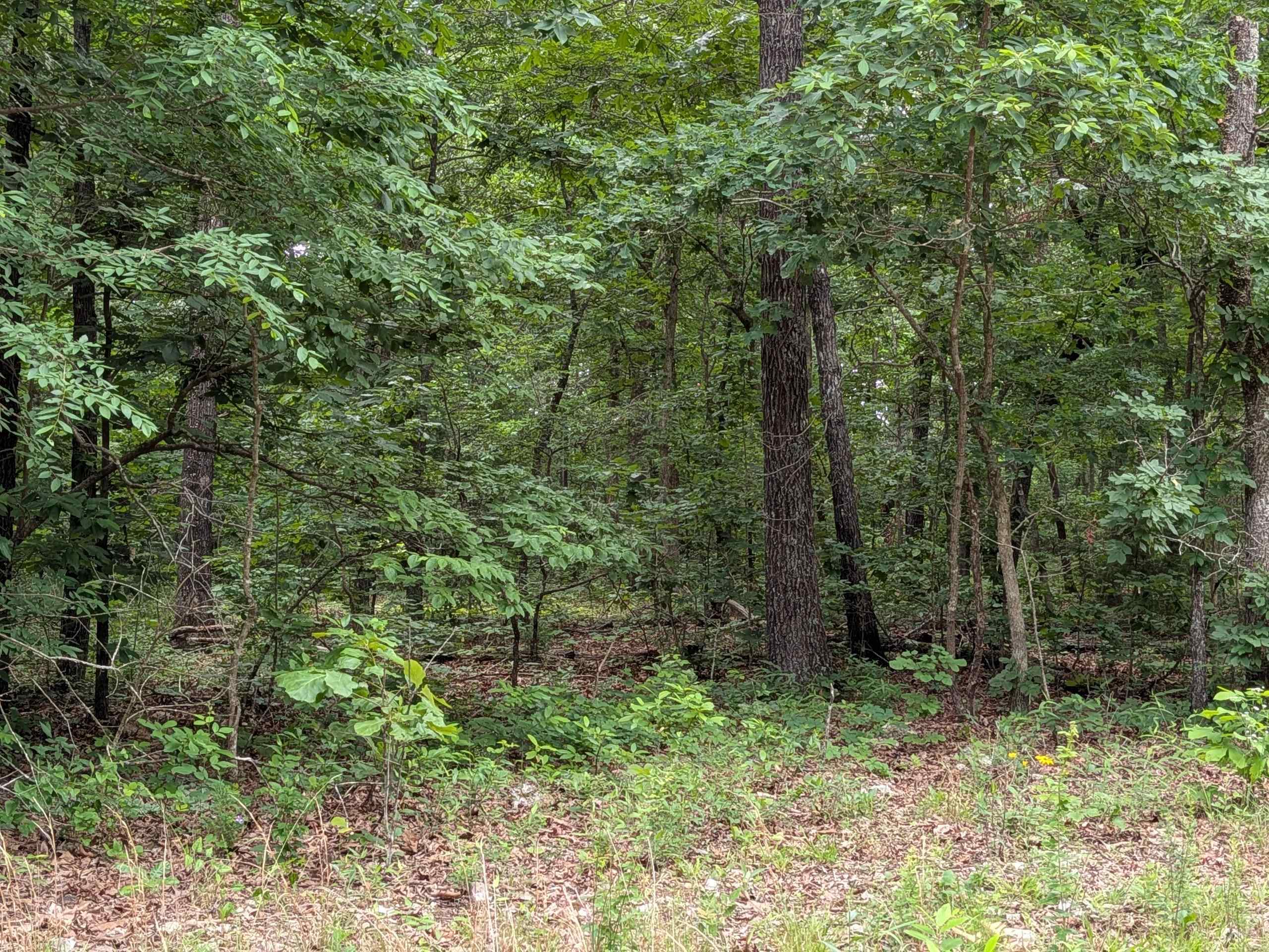 Photo 3 - Vacant Land for sale –   Kimberly   Ozark Acres, AR