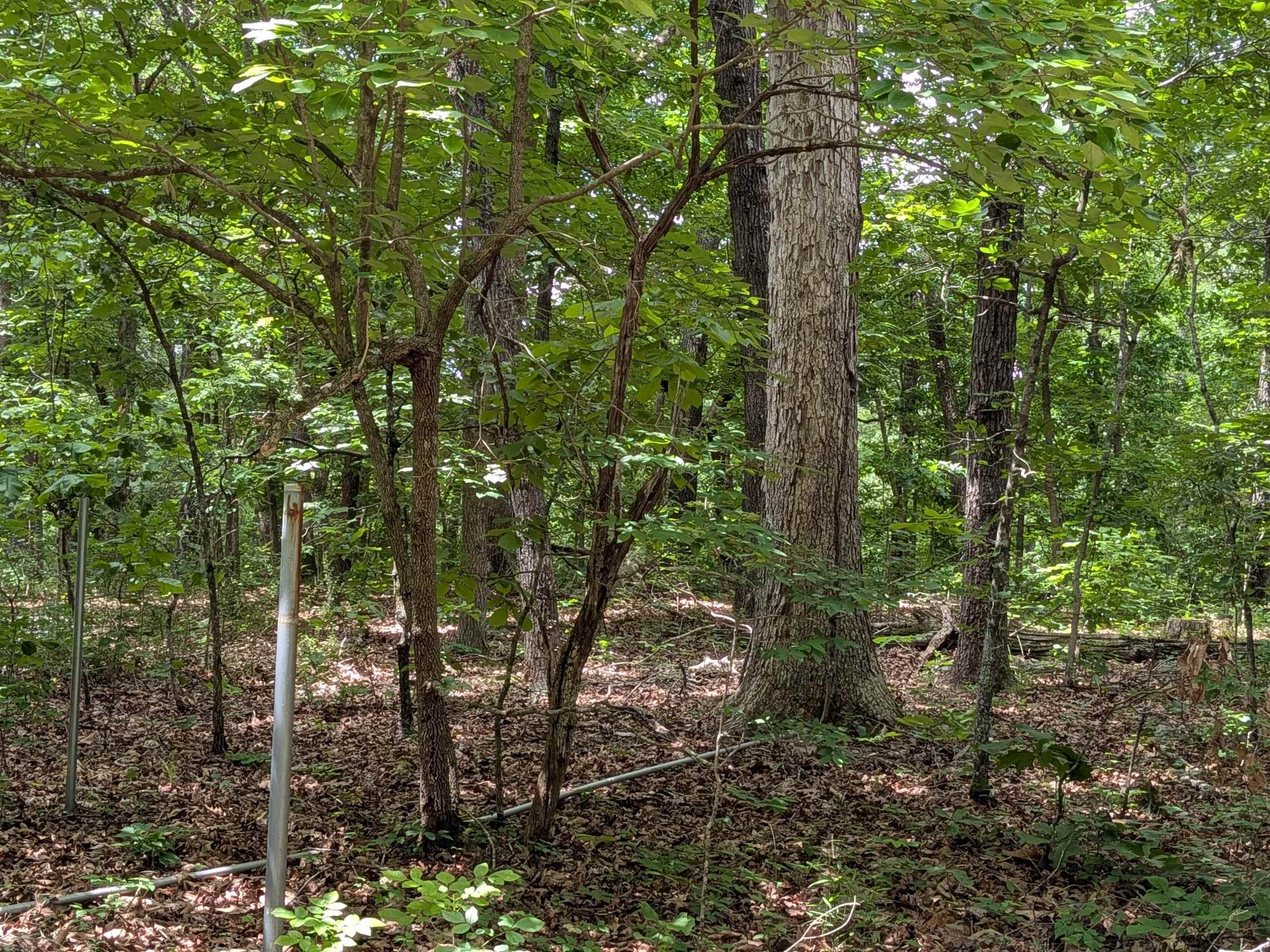 Photo 4 - Vacant Land for sale –   Kimberly   Ozark Acres, AR