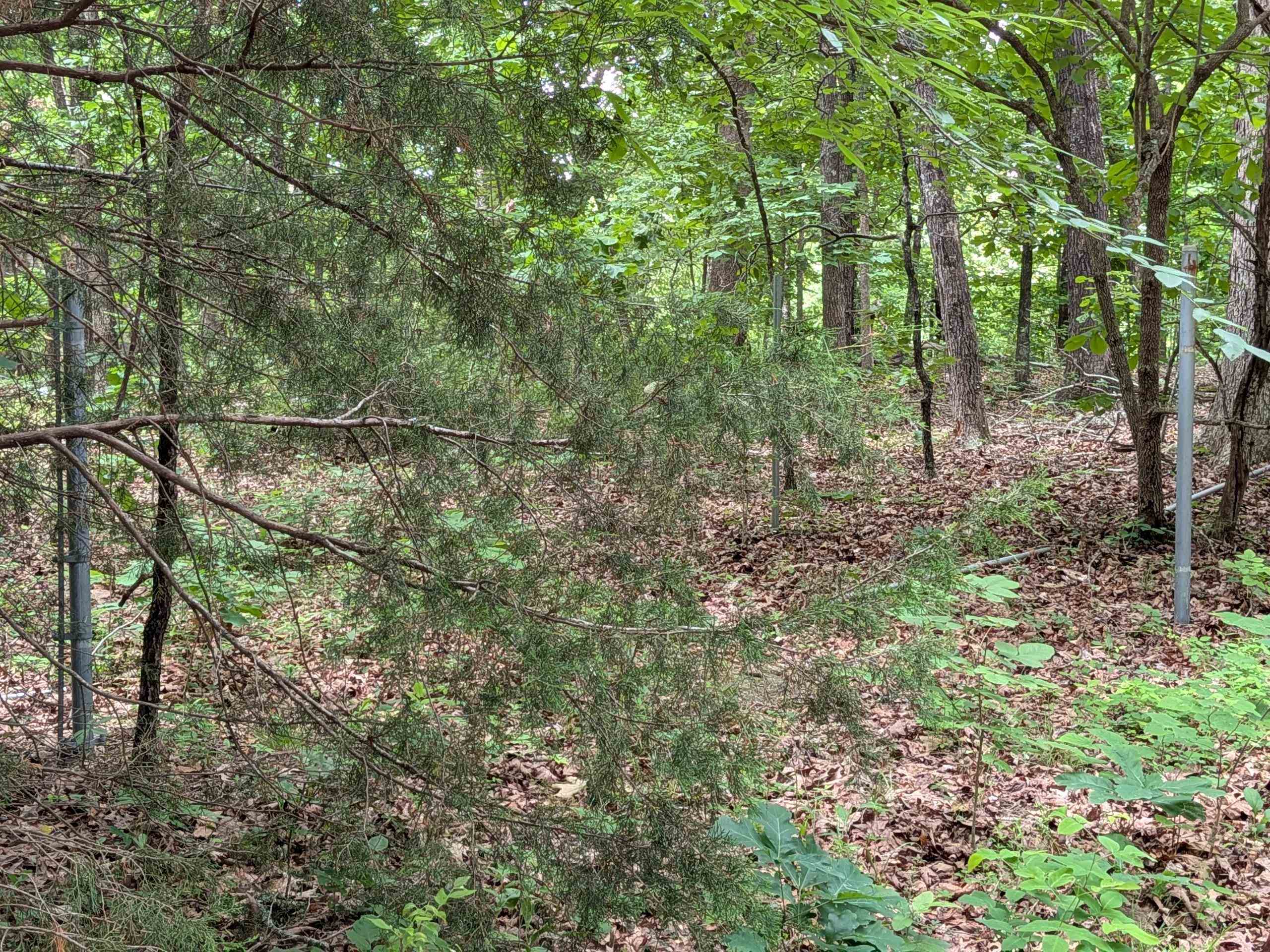 Photo 5 - Vacant Land for sale –   Kimberly   Ozark Acres, AR