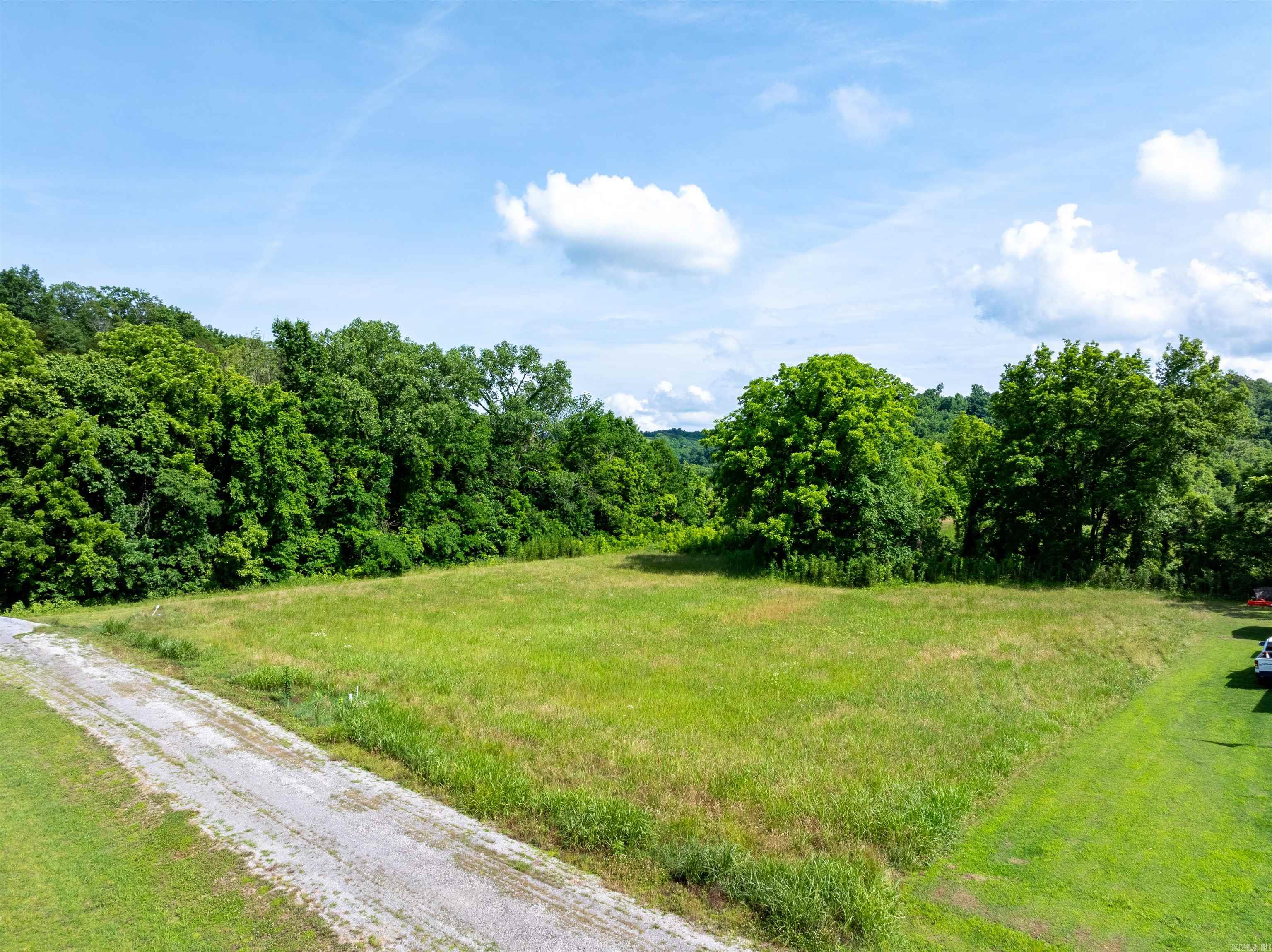 Photo 6 - Vacant Land for sale –   Joe Baker Rd   Batesville, AR