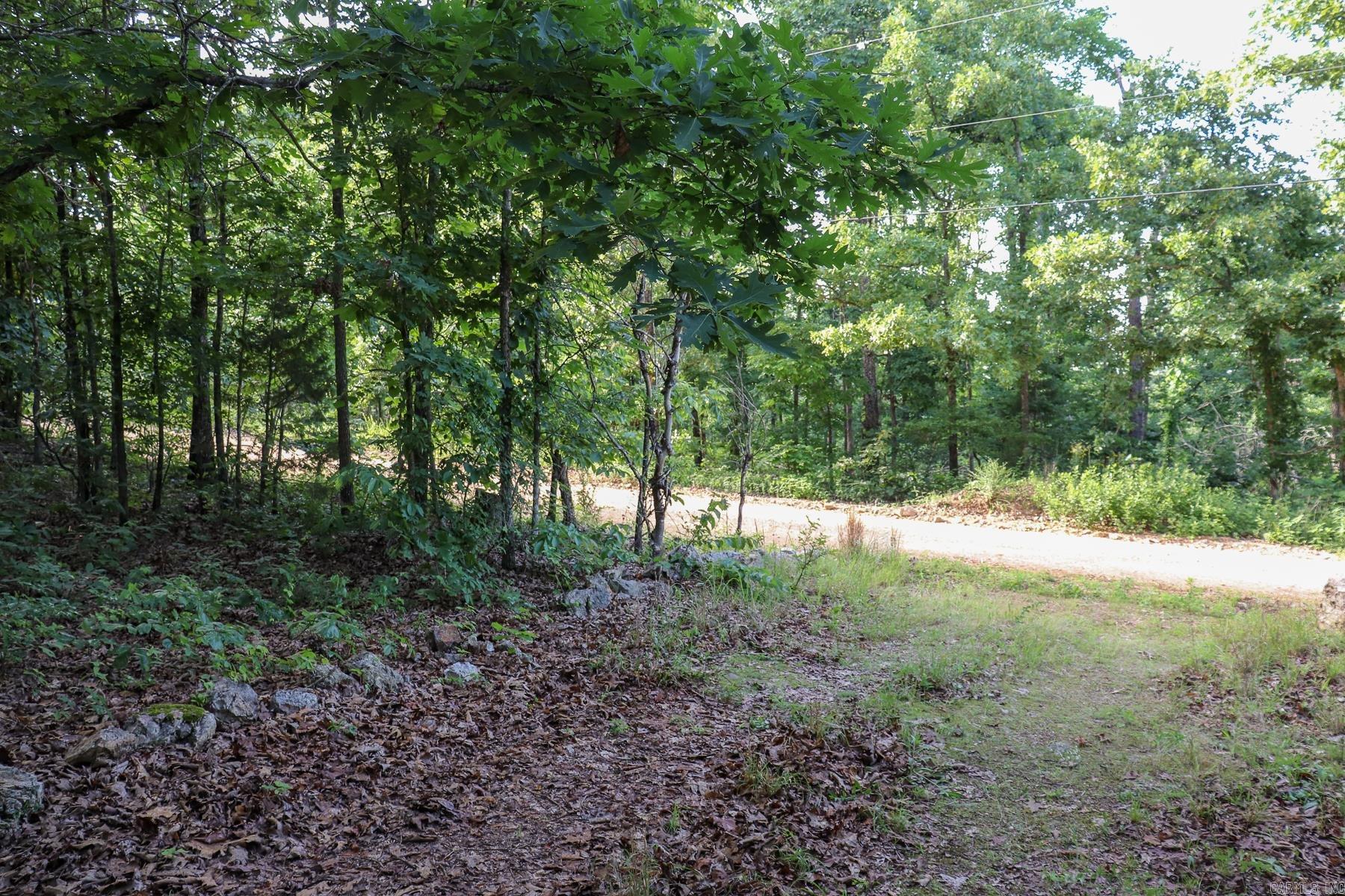 Photo 17 - Vacant Land for sale – 845  Fire Tower   Hardy, AR