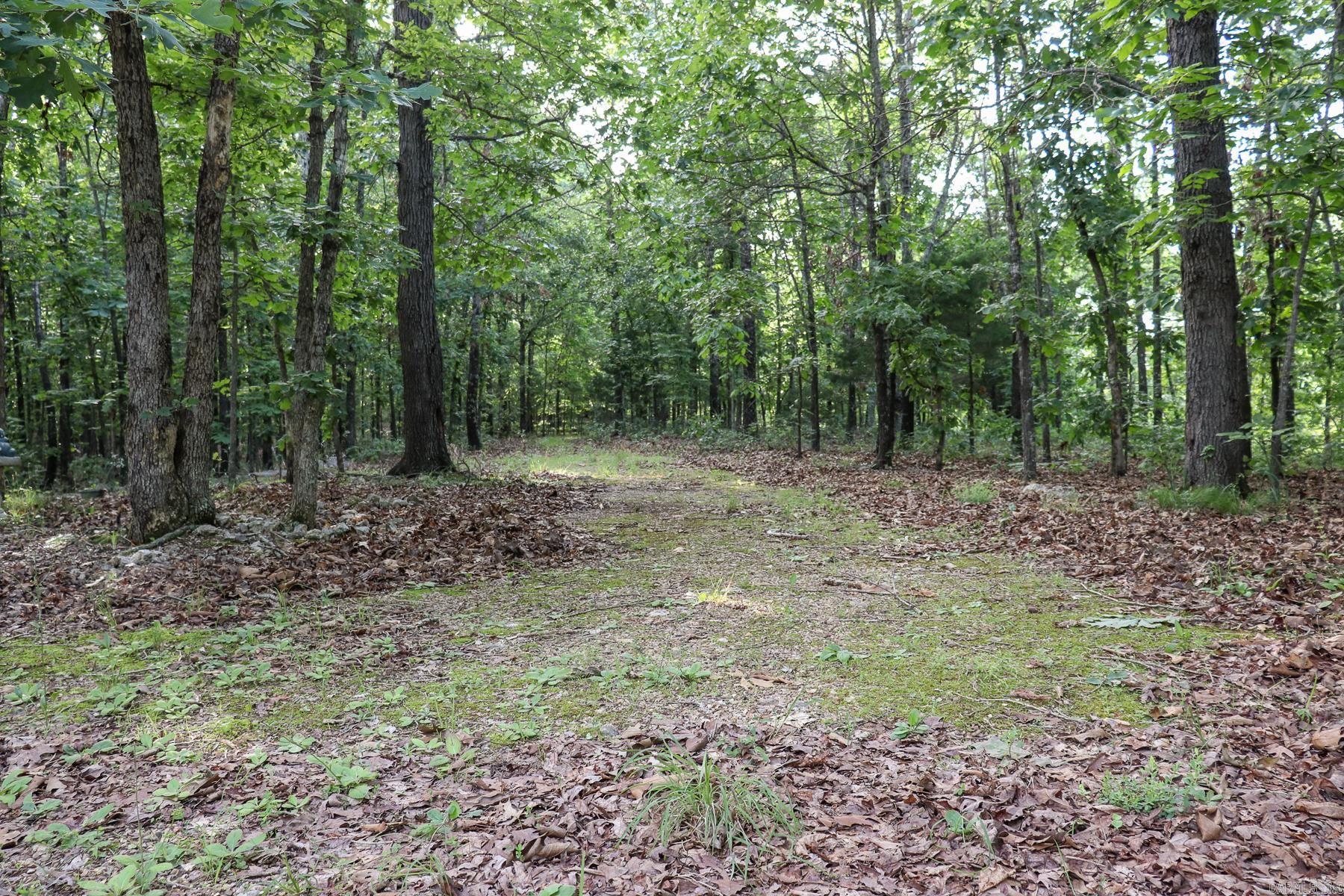 Photo 18 - Vacant Land for sale – 845  Fire Tower   Hardy, AR