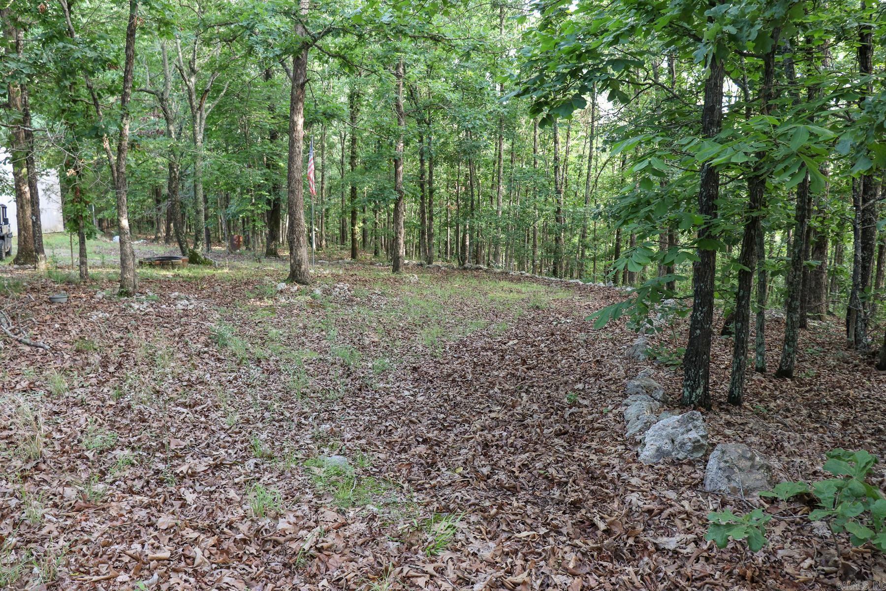Photo 19 - Vacant Land for sale – 845  Fire Tower   Hardy, AR