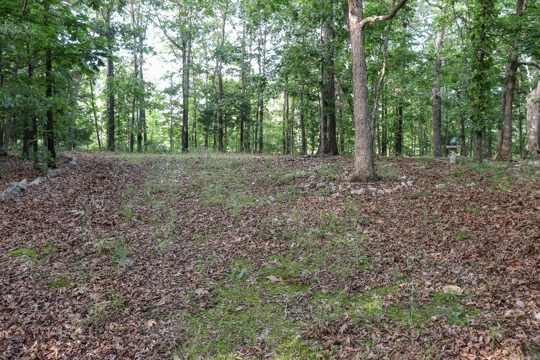 Photo 20 - Vacant Land for sale – 845  Fire Tower   Hardy, AR